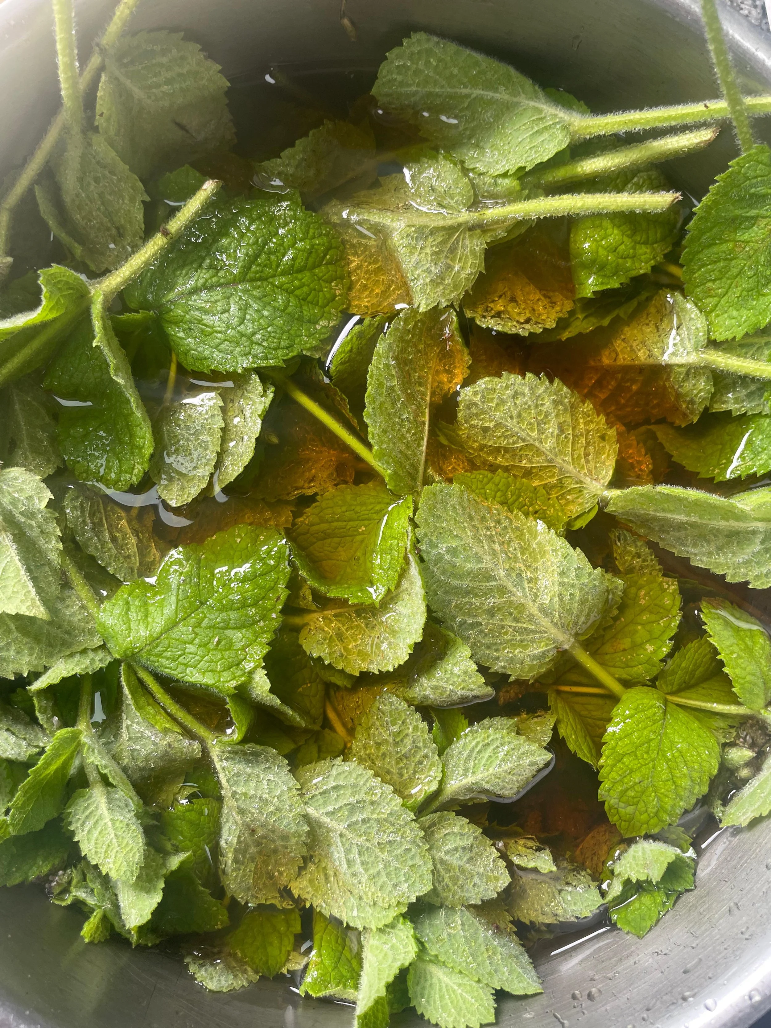 WhatsApp Image 2025-07-26 at 13.49.49.jpeg