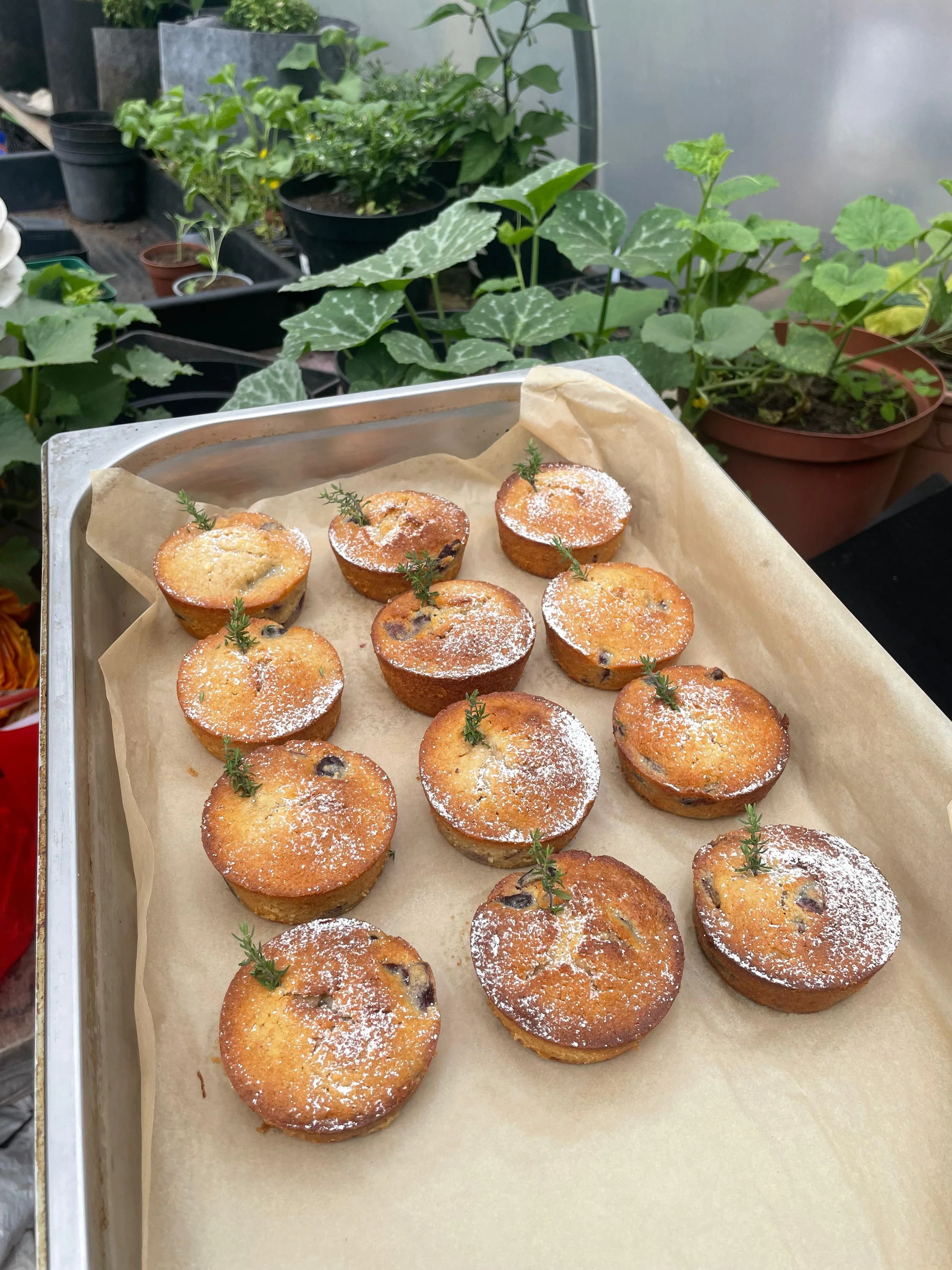 WhatsApp Image 2025-07-26 at 13.49.51 (1).jpeg