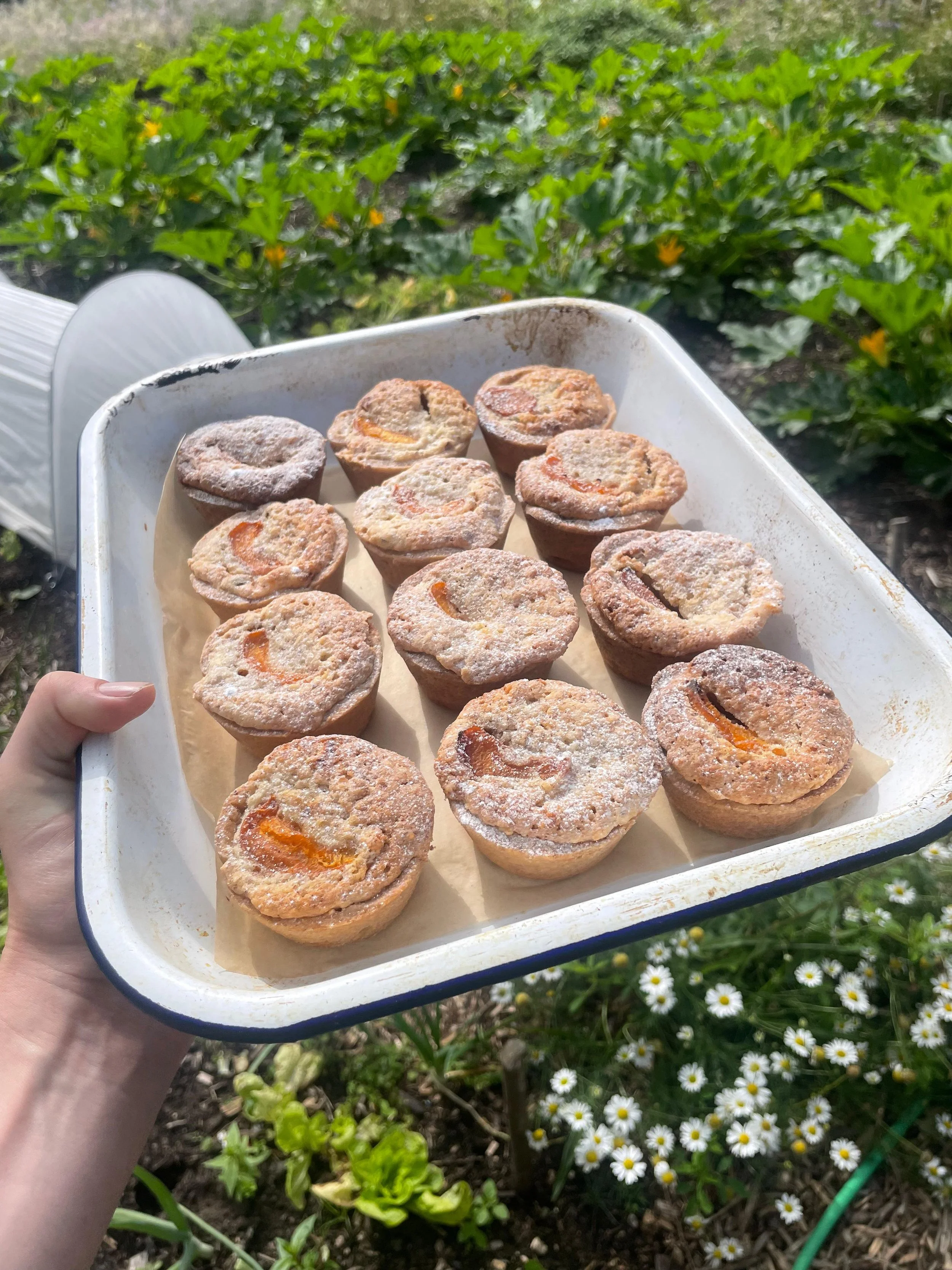 WhatsApp Image 2025-07-26 at 13.49.51.jpeg