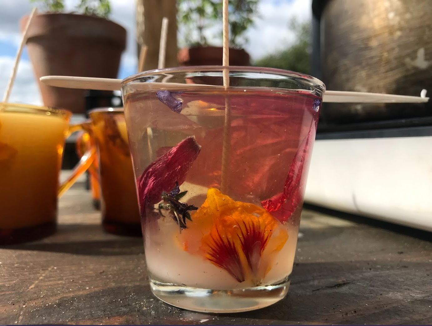 Christmas Hamper Workshop - Medlar Brandy &amp; Redcurrant Cordial