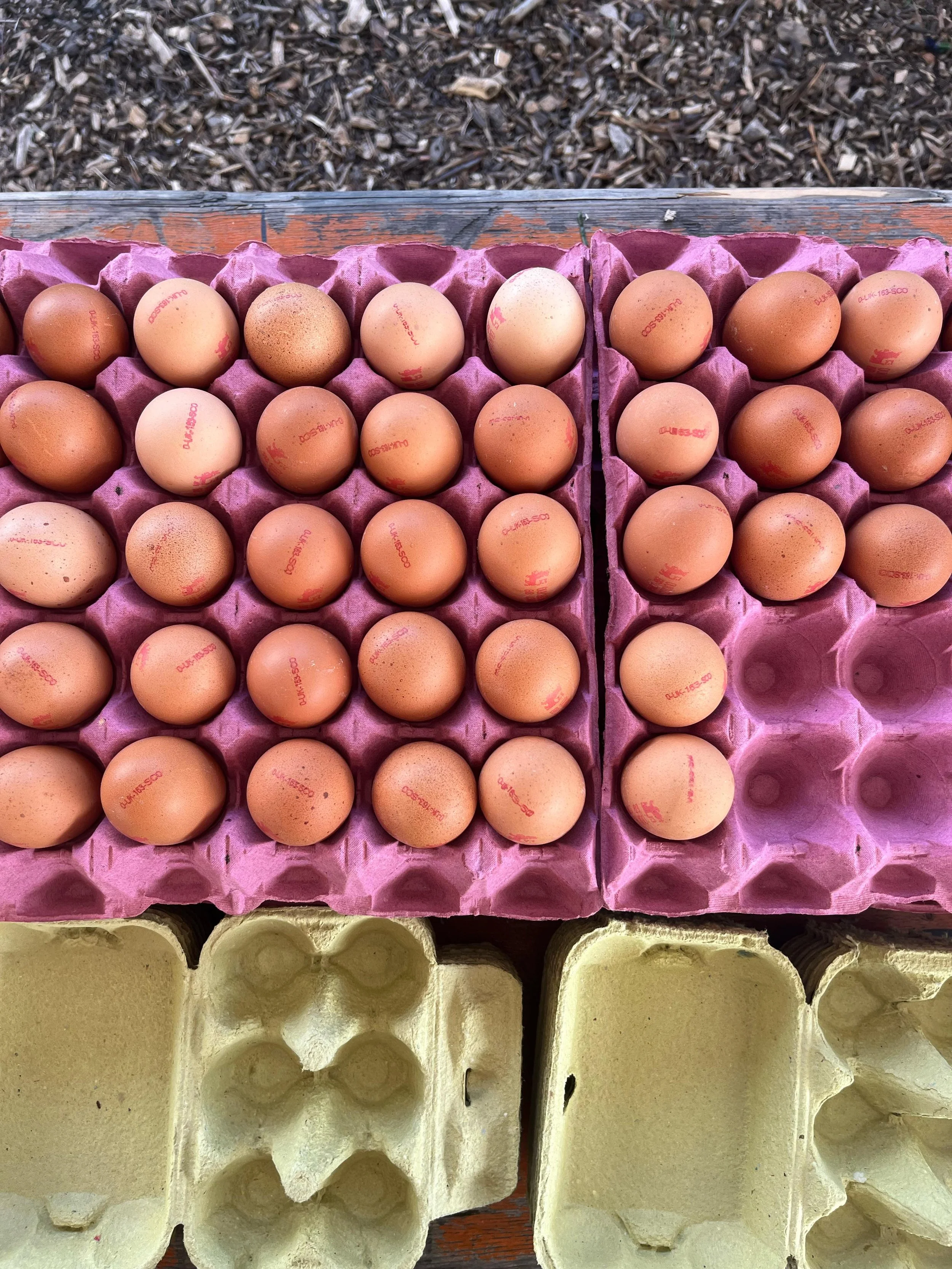 WhatsApp Image 2025-05-06 at 15.40.24 (2).jpeg