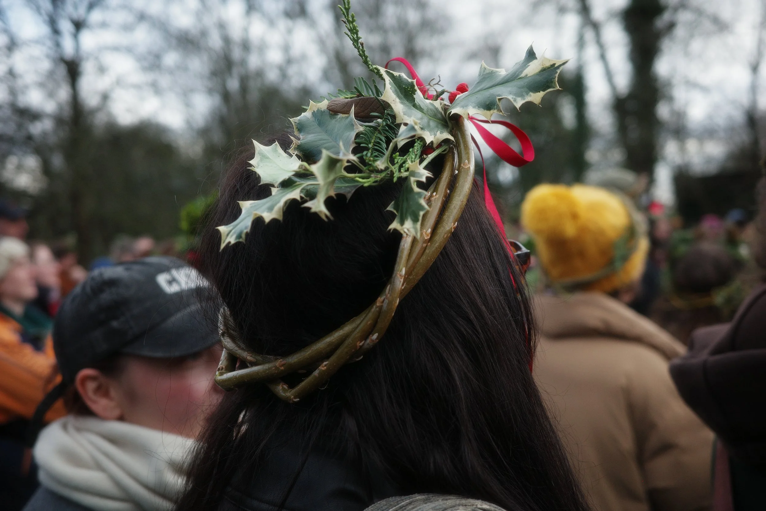 2026-01-17 14.50.16.jpg