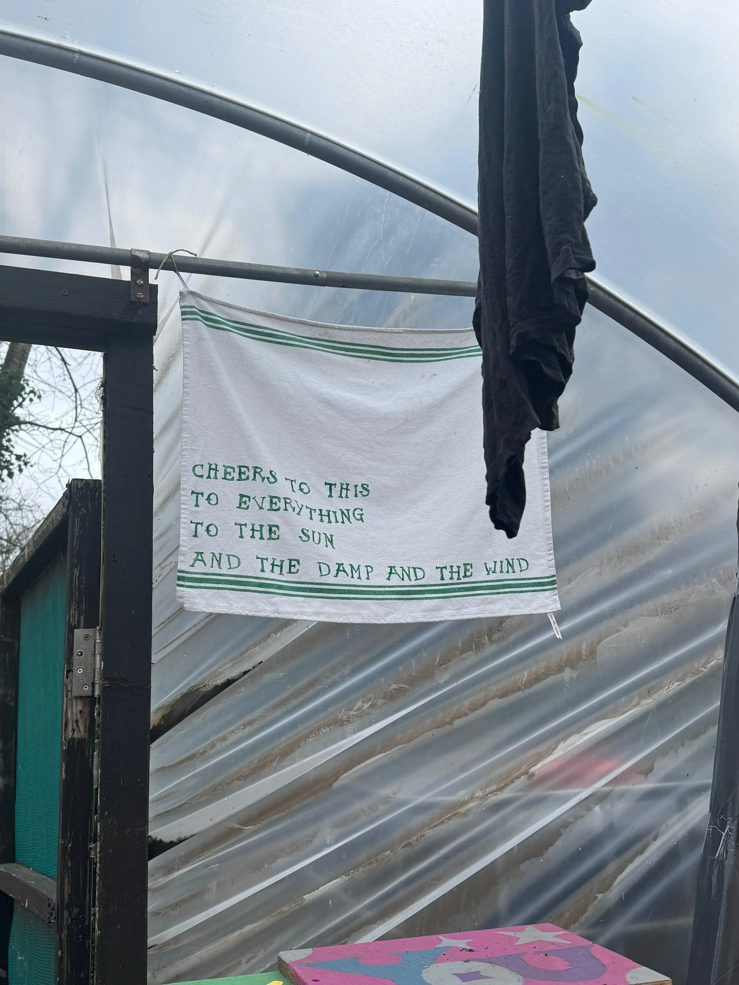 Yellow_dal_on_a_grey_day_(3_of_3) (1).jpg