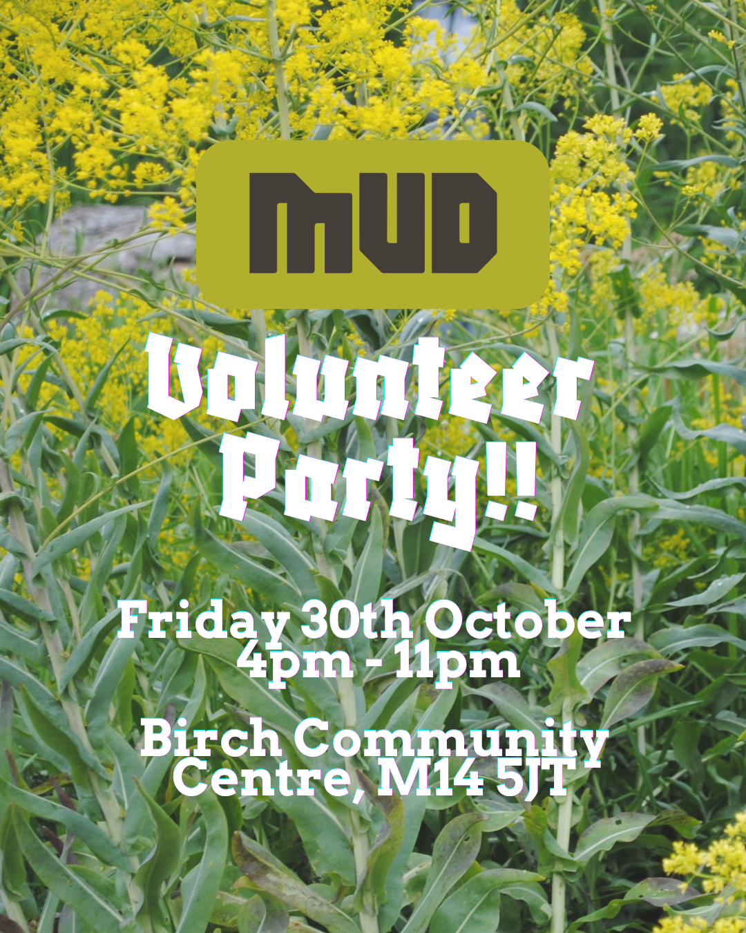 Volunteer Party