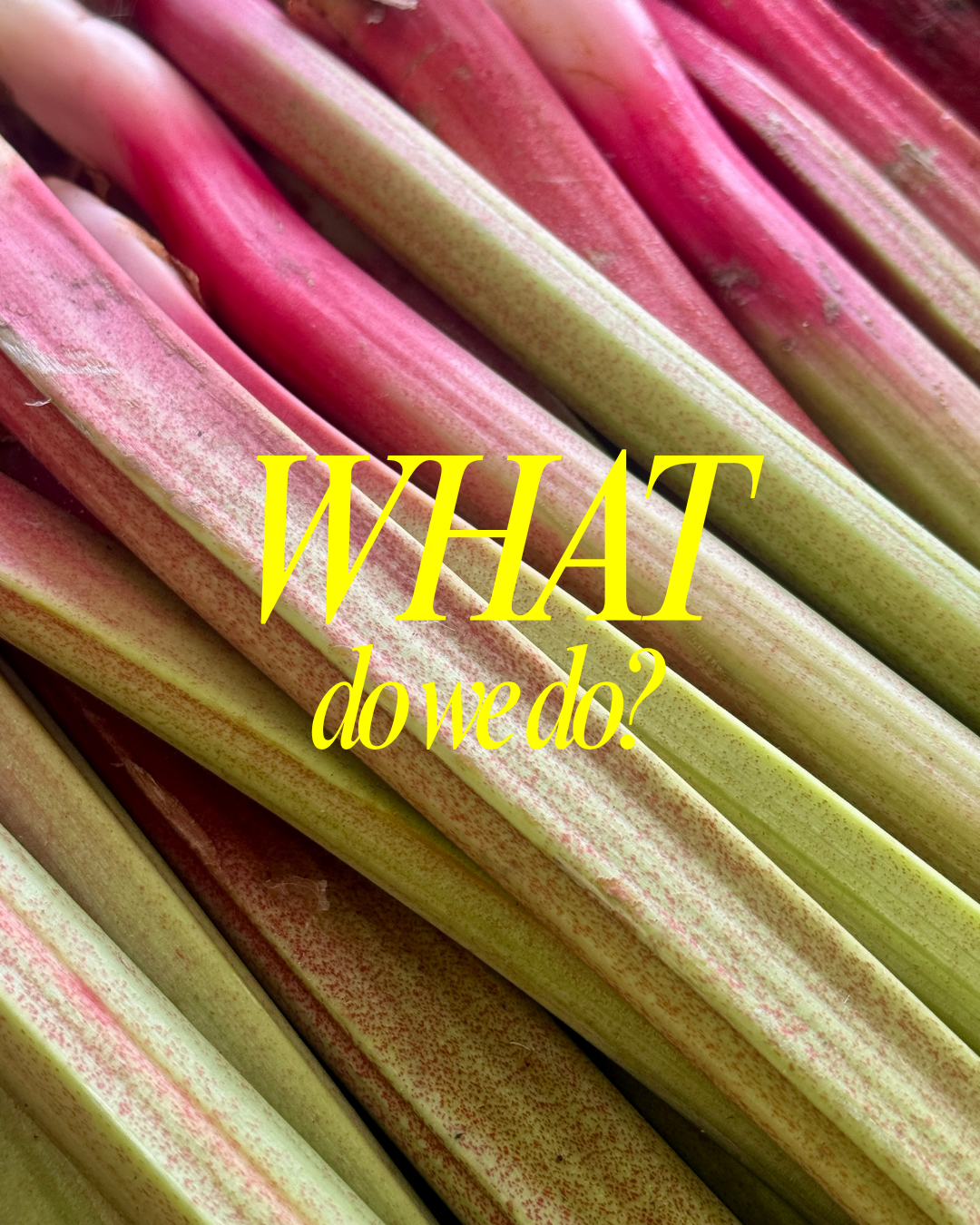 Why a Farmers Market?