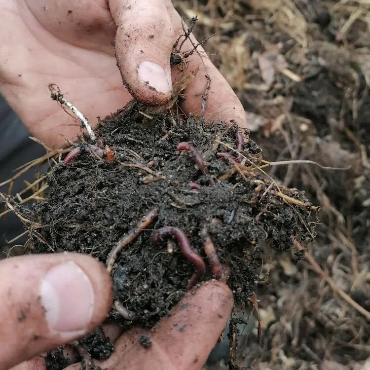 Community Composting