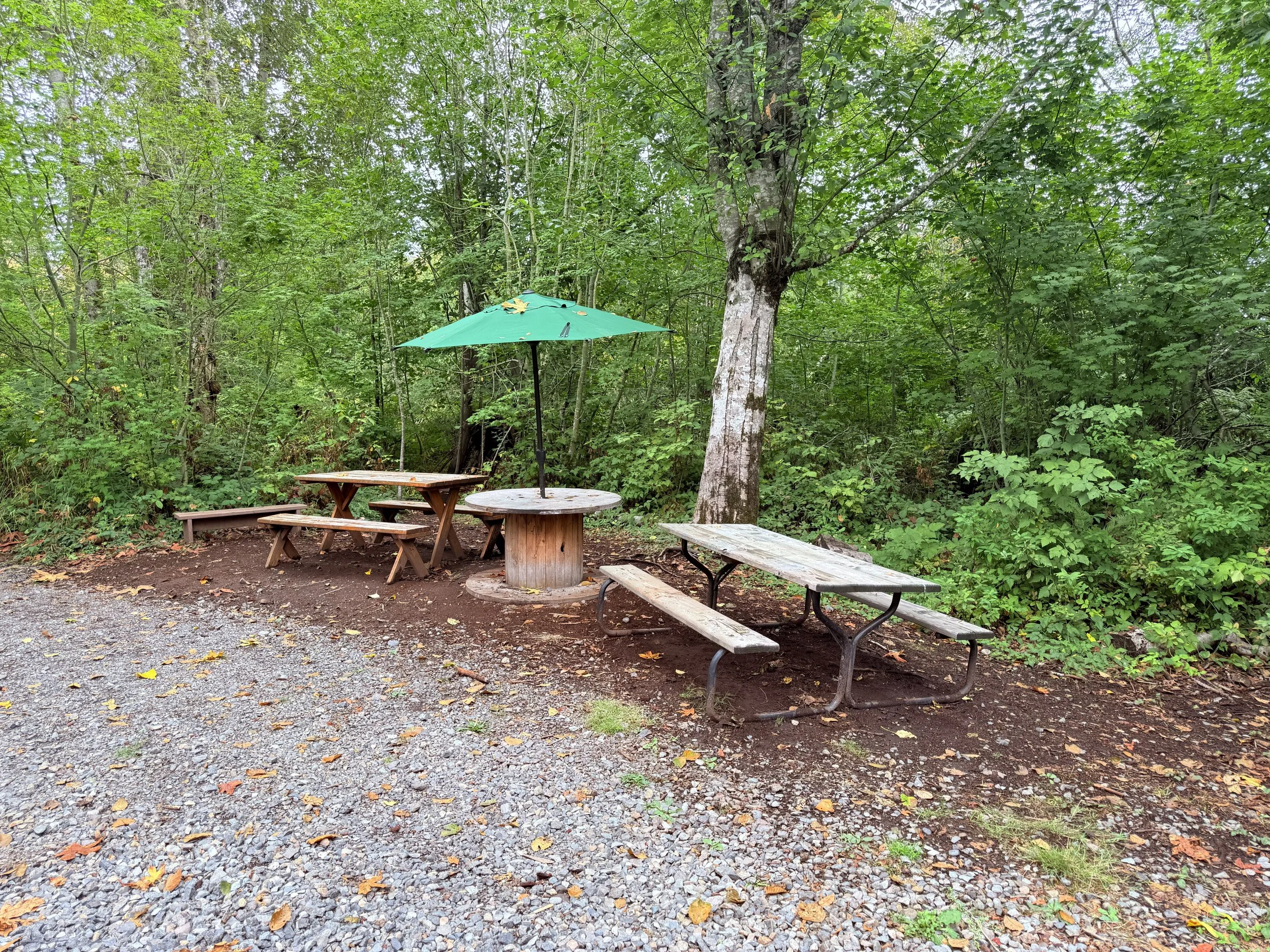 picnicarea.jpg