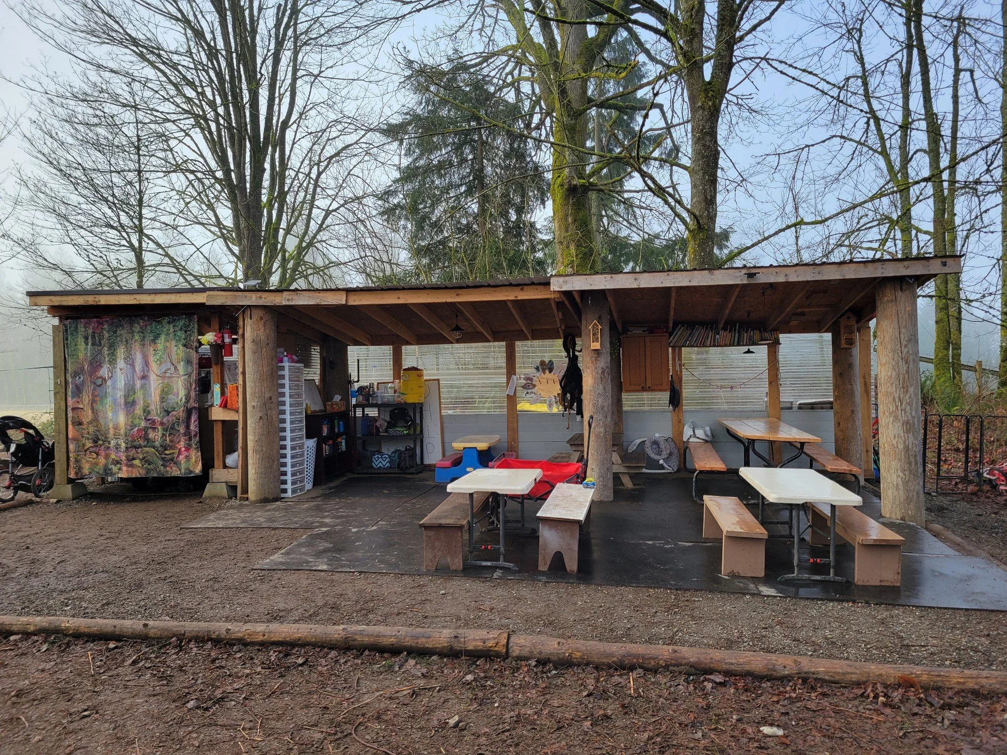 What Is a Nature School? A Complete Guide for Parents