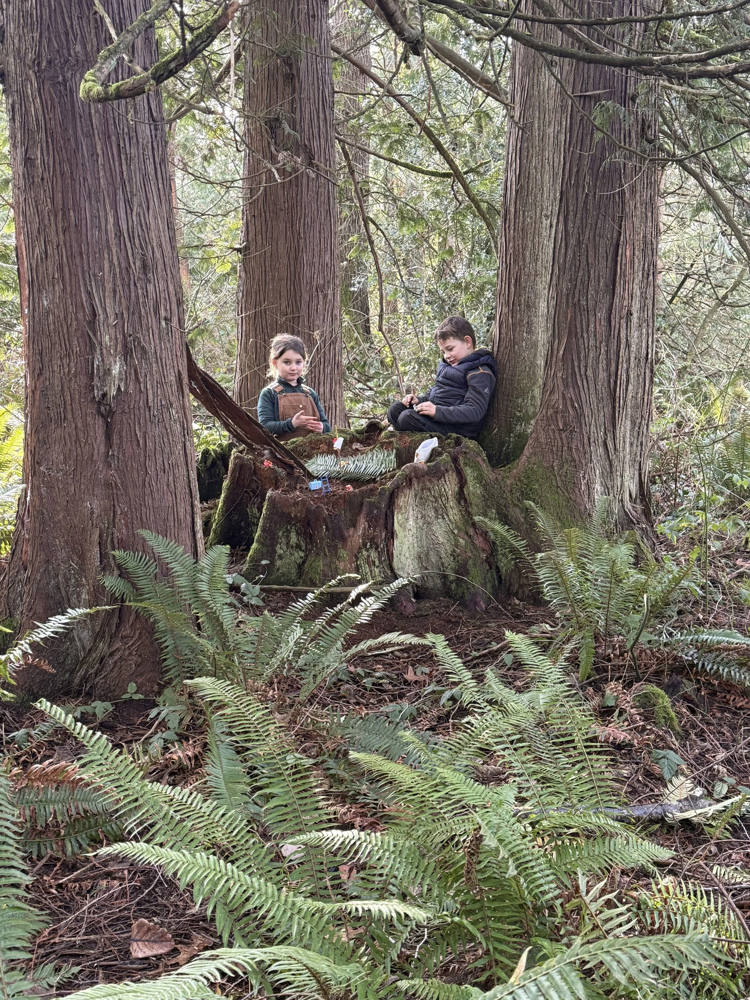 Why Children Learn Better Outside: The Science Behind Outdoor Learning