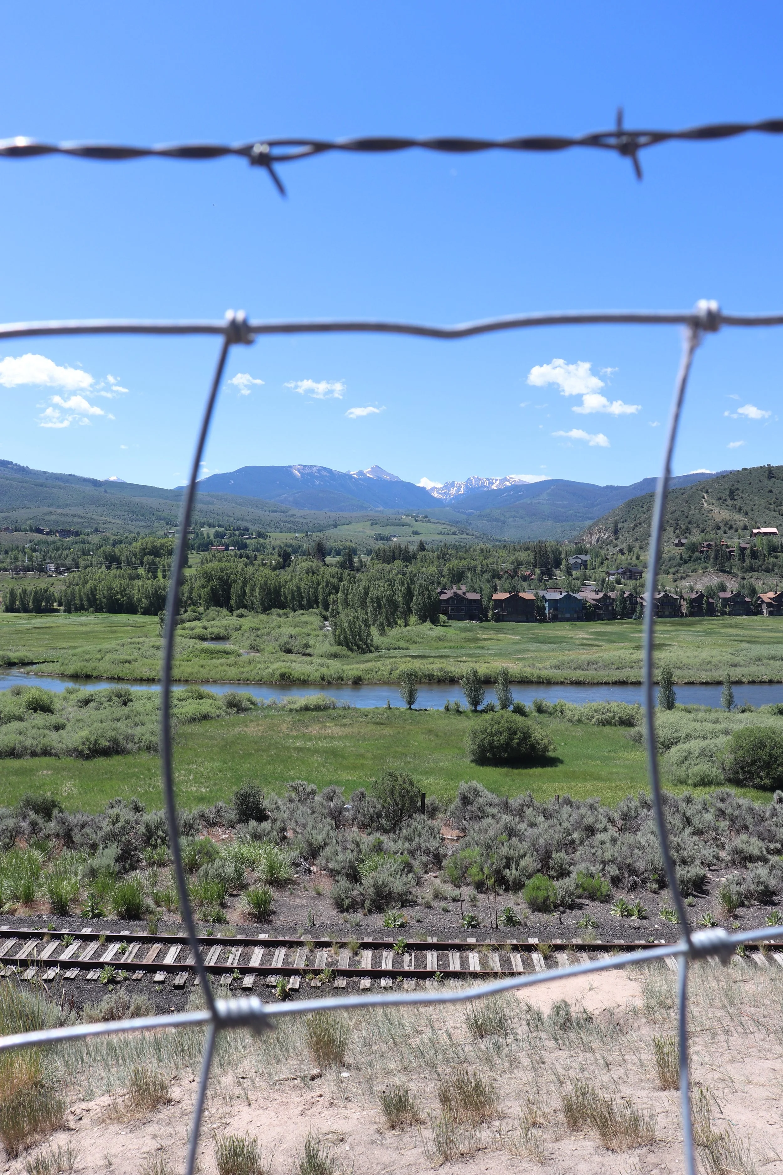 through fence.JPEG