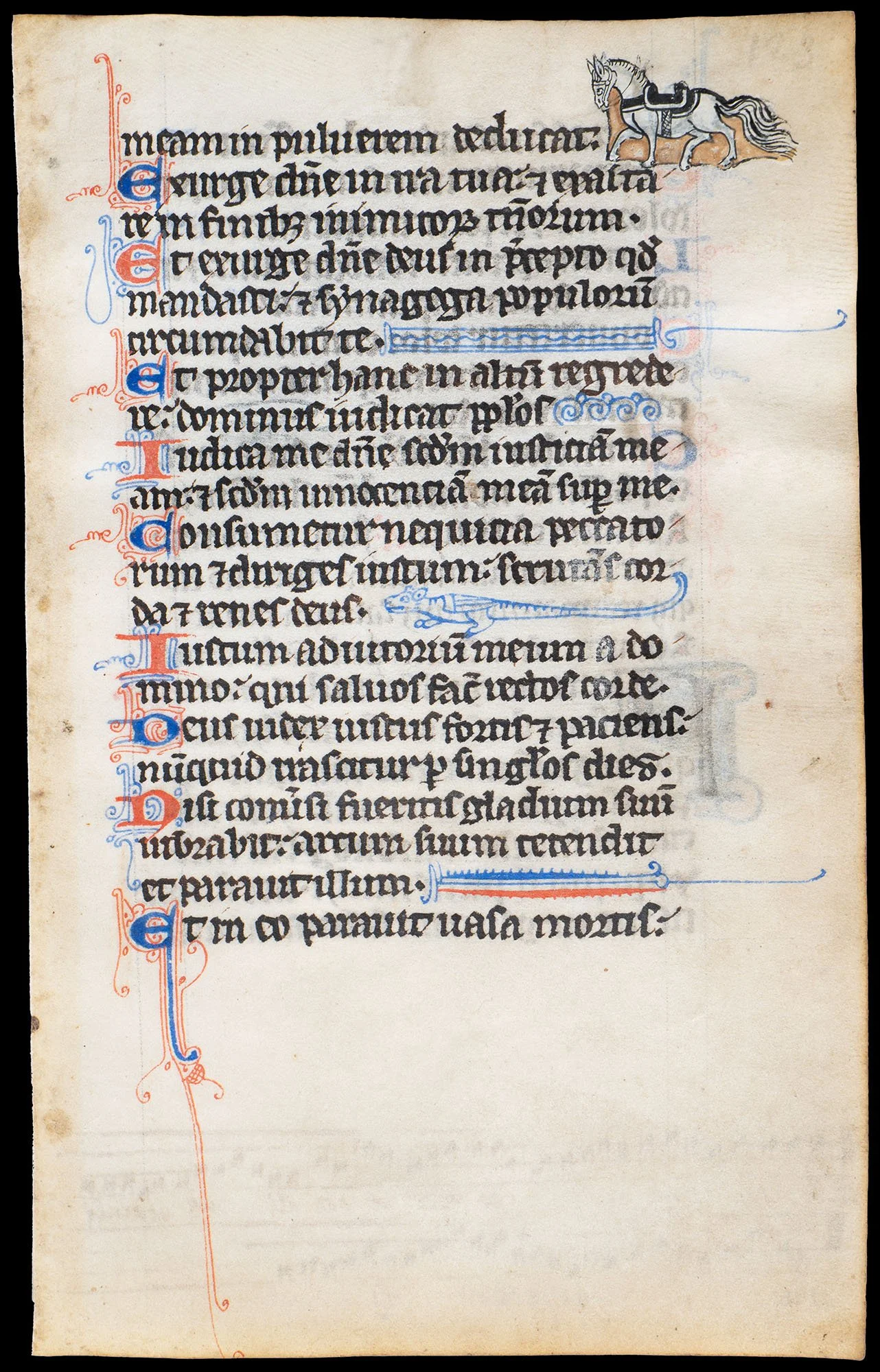 Book of Hours leaf with marginal horse painted by a Parisian illuminator, France, circa 1290–1300, tempera and gold on parchment.