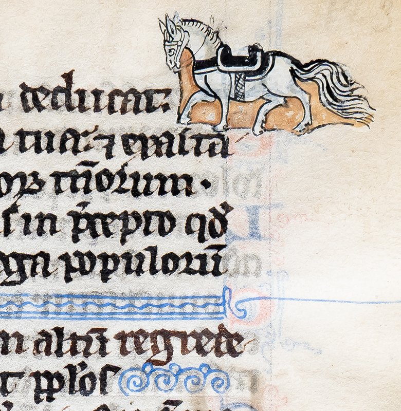 SOLD - Parisian IlluminatorLeaf from a Book of Hours, with a marginal painting of a Horse, saddled and harnessed, France, Paris, circa 1290-1300