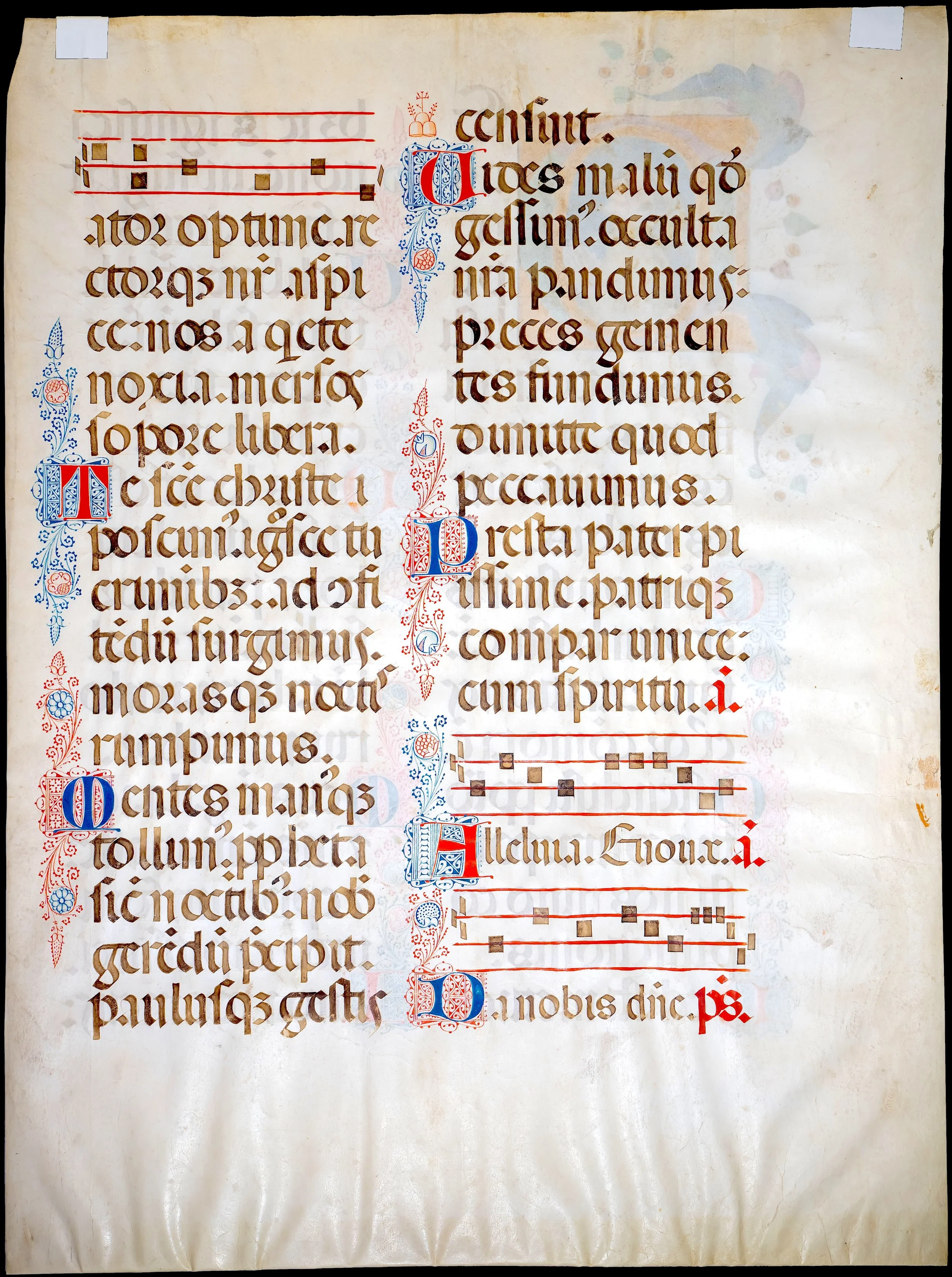 Verso of an illuminated Olivetan Psalter-Antiphonary choirbook leaf by Giovanni Pietro Birago, with Latin text, musical notation and decorated initials, Brescia, Italy, c. 1470–1480