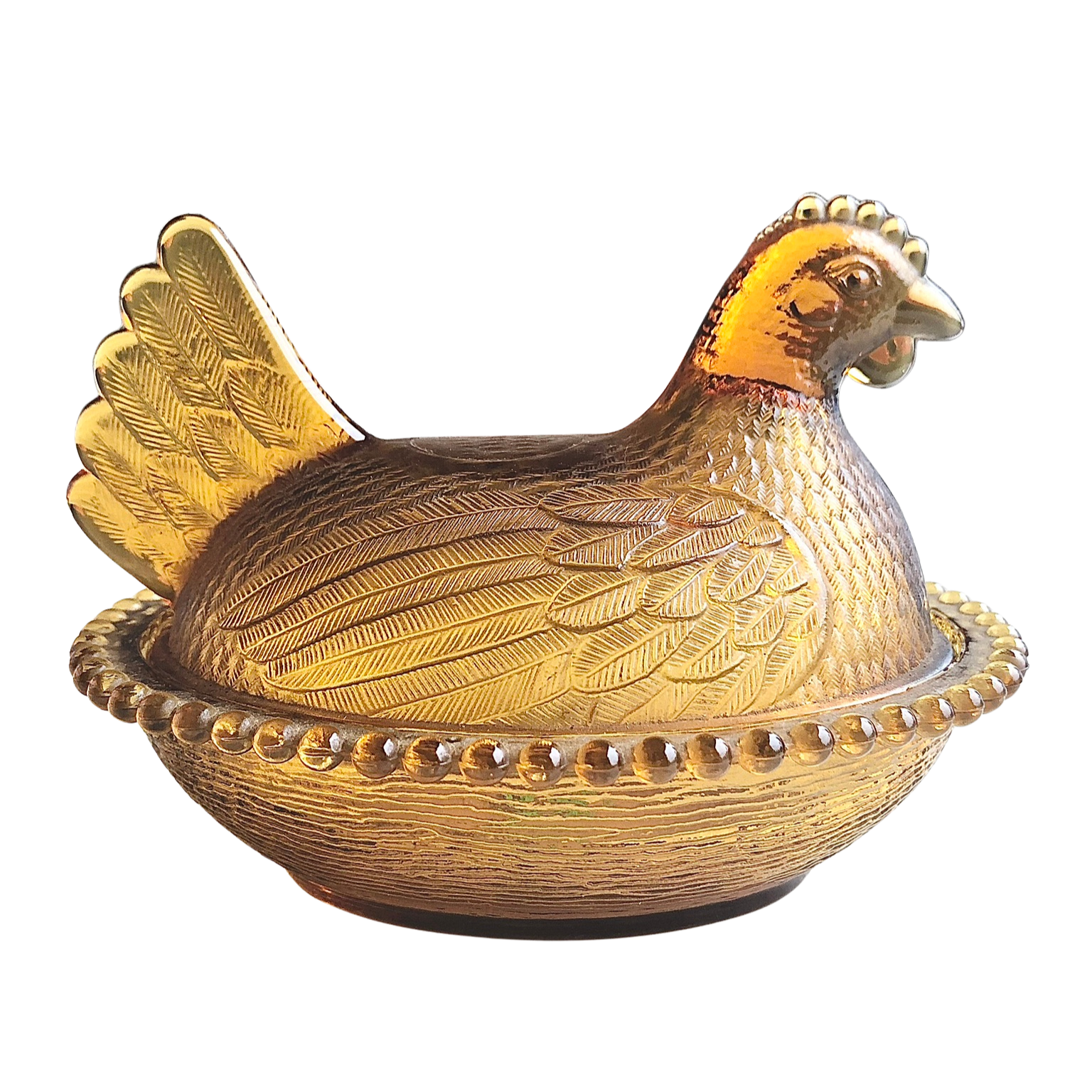 Birdie - amber - Edited.png