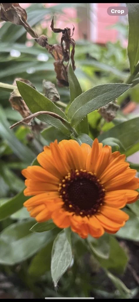 9b711eb5-ad23-4d67-a5f8-ffd103812694.jfif