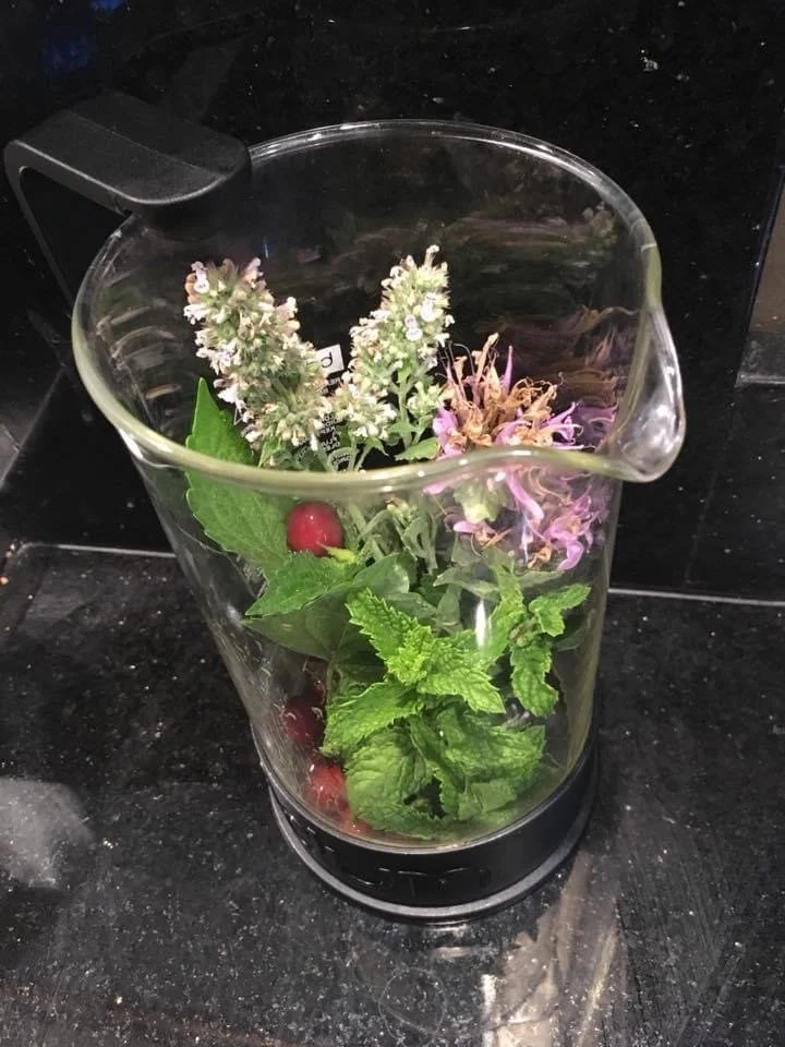 Tea for Herbalists 
