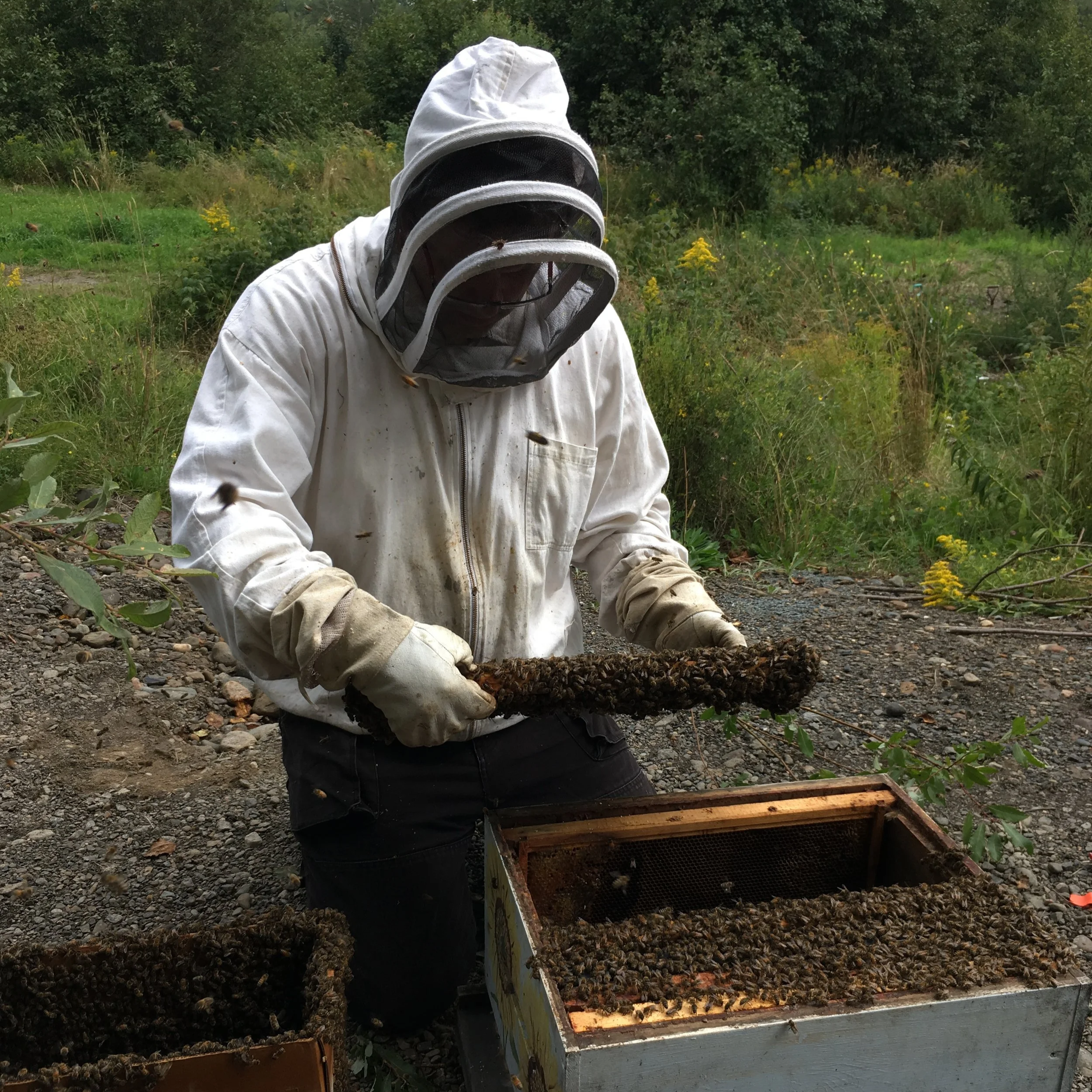 Meet the Beekeeper