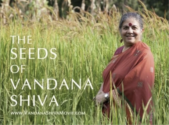 The Battle To Control The World’s Seeds Comes To Sudbury