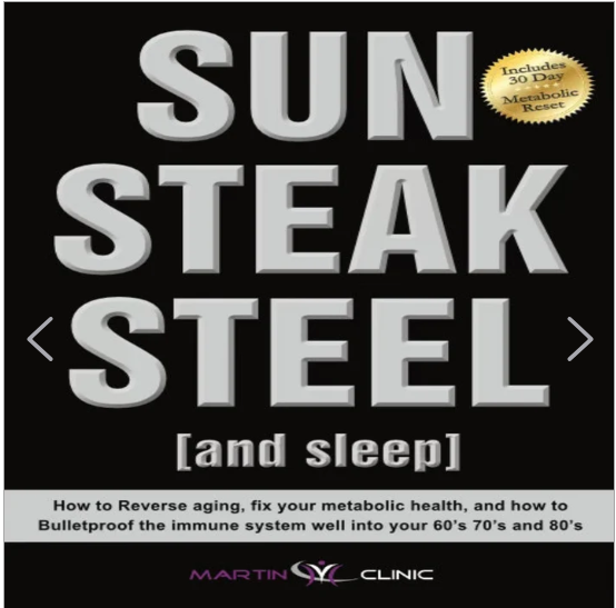 sun steak and steel book cover.png