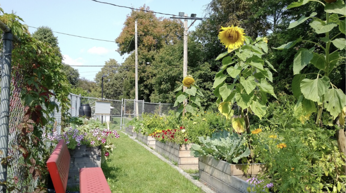 Des Jardins Communautaires Se Préparent À Ouvrir