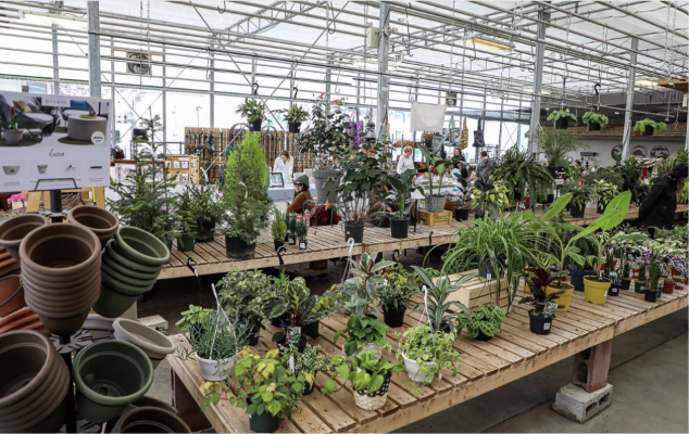 Save The Date And Your Plant Seeds For Seedy Sudbury 2024