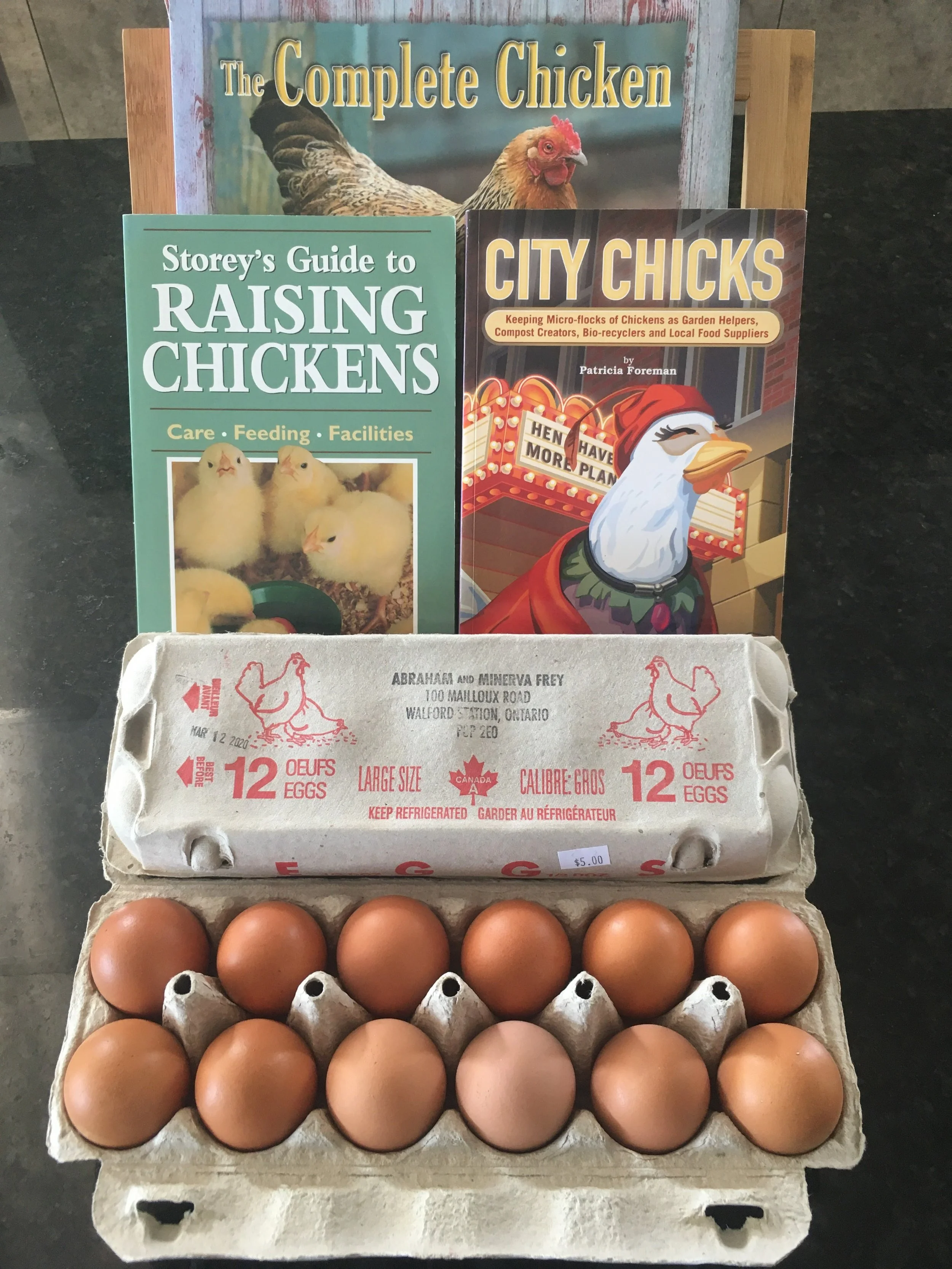 eggs and chickens.jpg