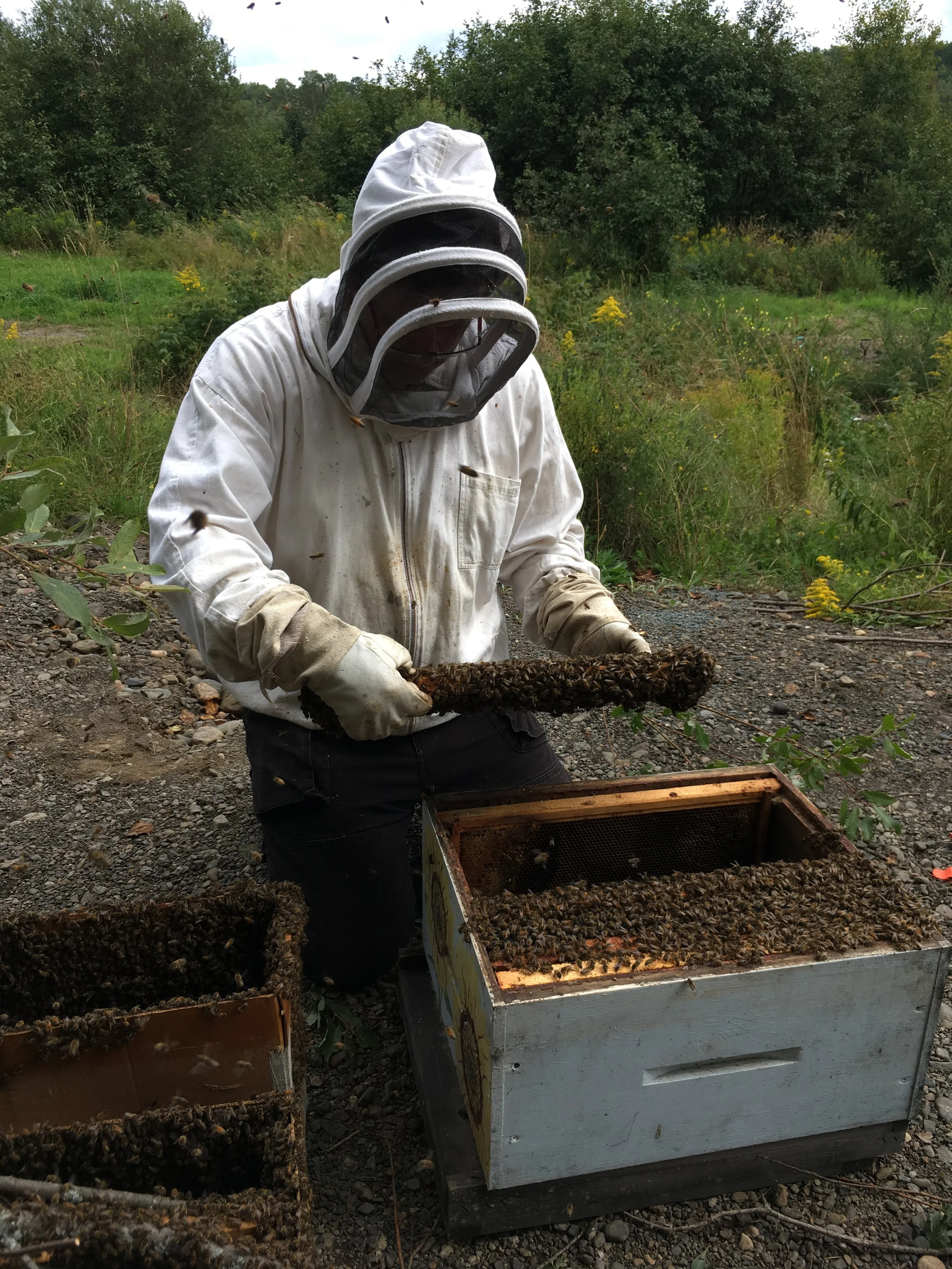 Meet the Beekeeper - Doug Tompsett, Lucas Blair and Adelle Larmour-Delong