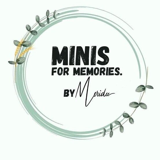 Head over to the sister page @minis_for_memories_by_meridee and give it a follow! Lots of opportunities in 2024 to get those photos you&rsquo;ve been putting off! #memories #minisformemories