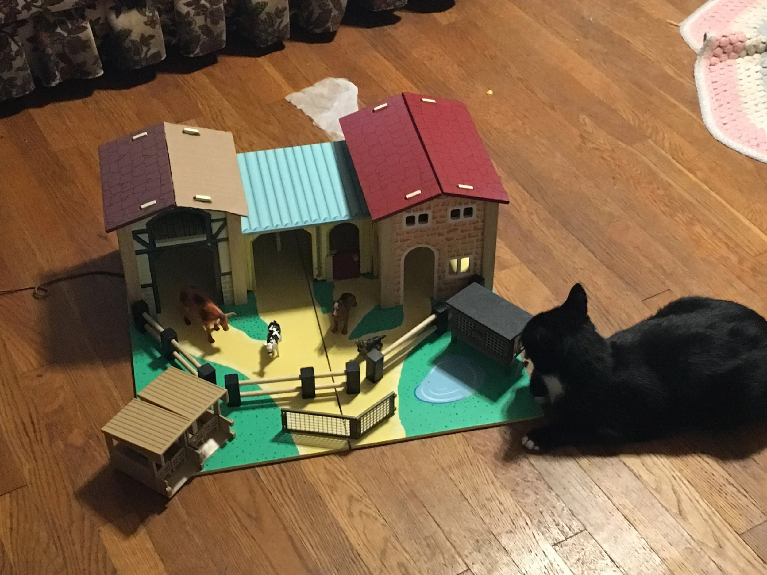 Mittens the Kittens for scale