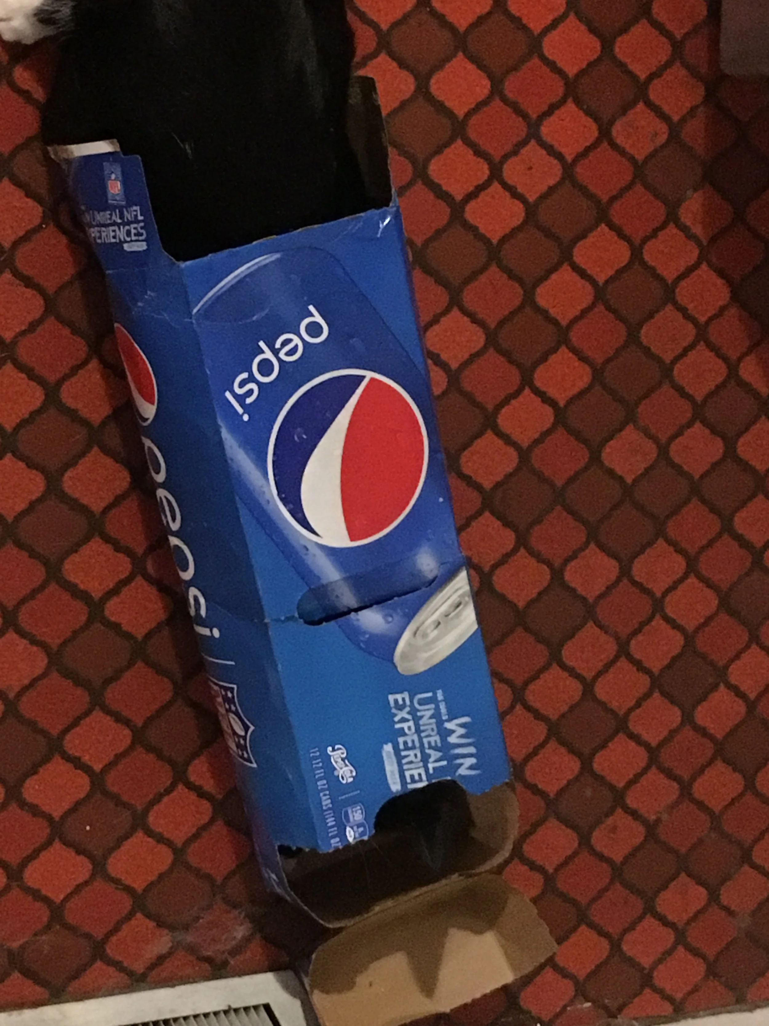 Pepsi Cat