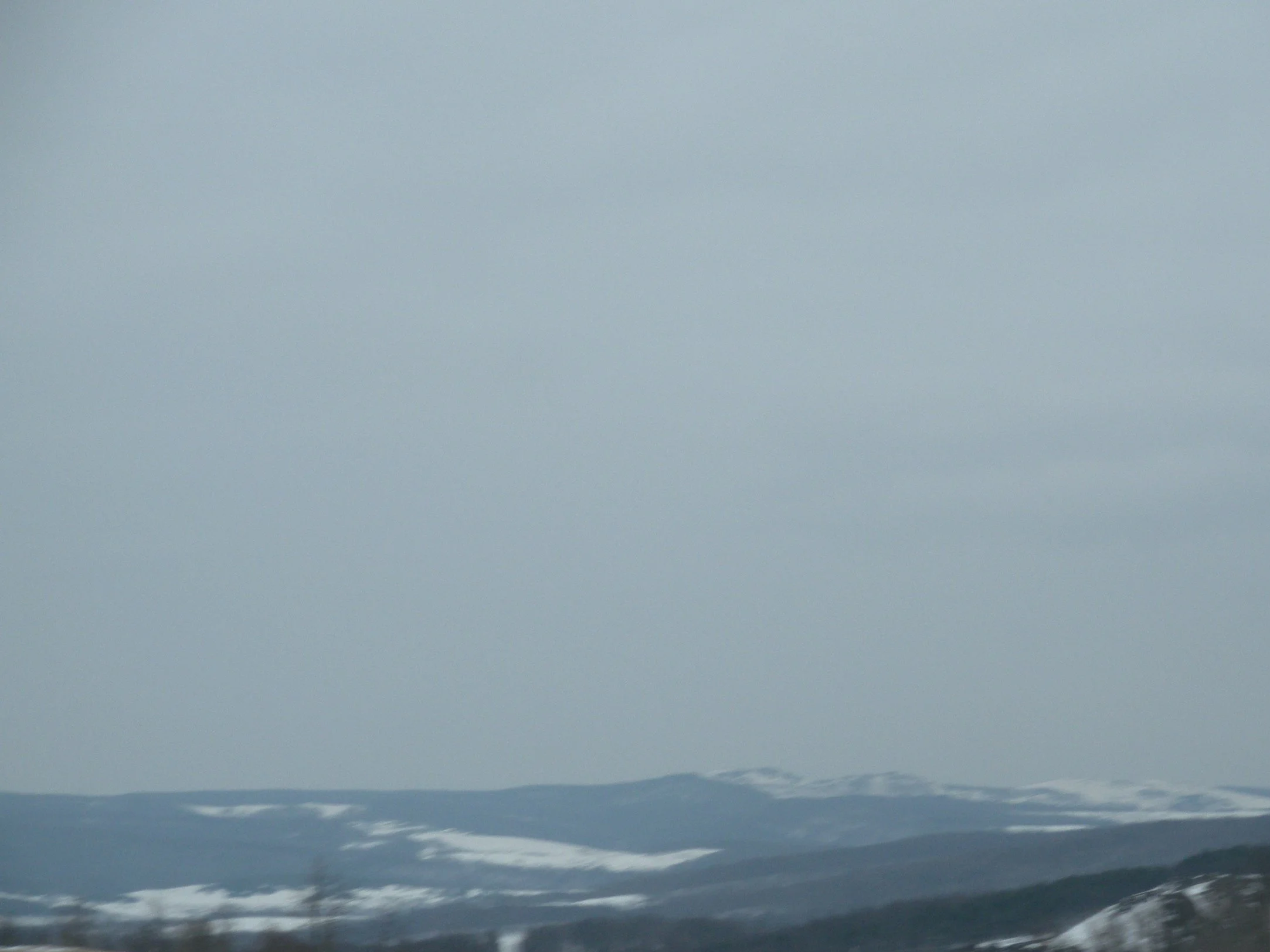 Cold Weather Safety: A Home Inspector’s Guide to Protecting Your Home, Pets, and Family