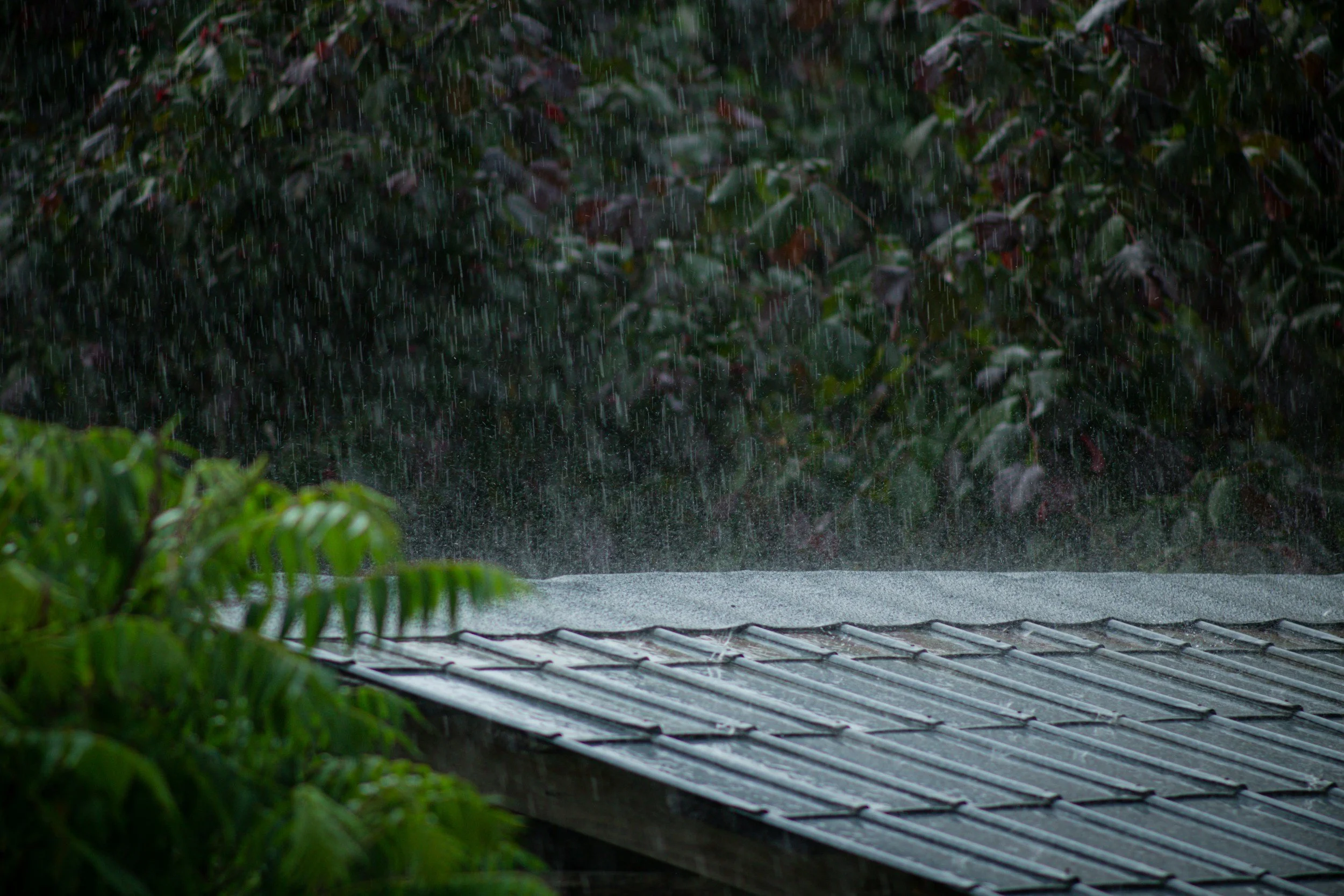 rain on roof