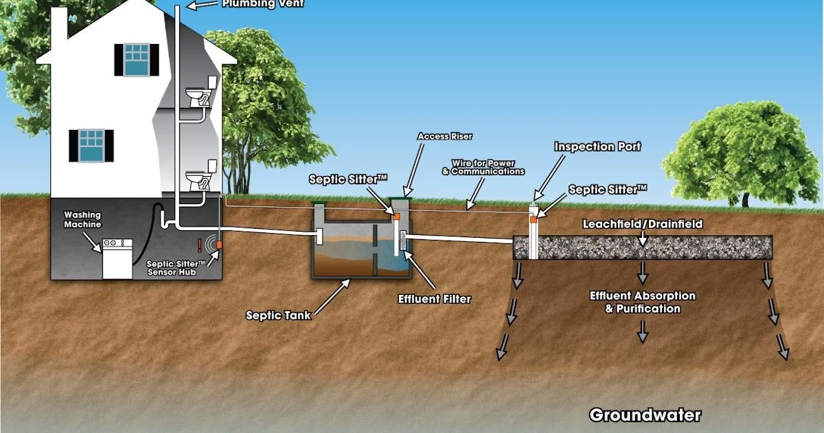 What Is an Effluent Filter for a Septic System—and What Can It Teach Us About a Cleaner Life?