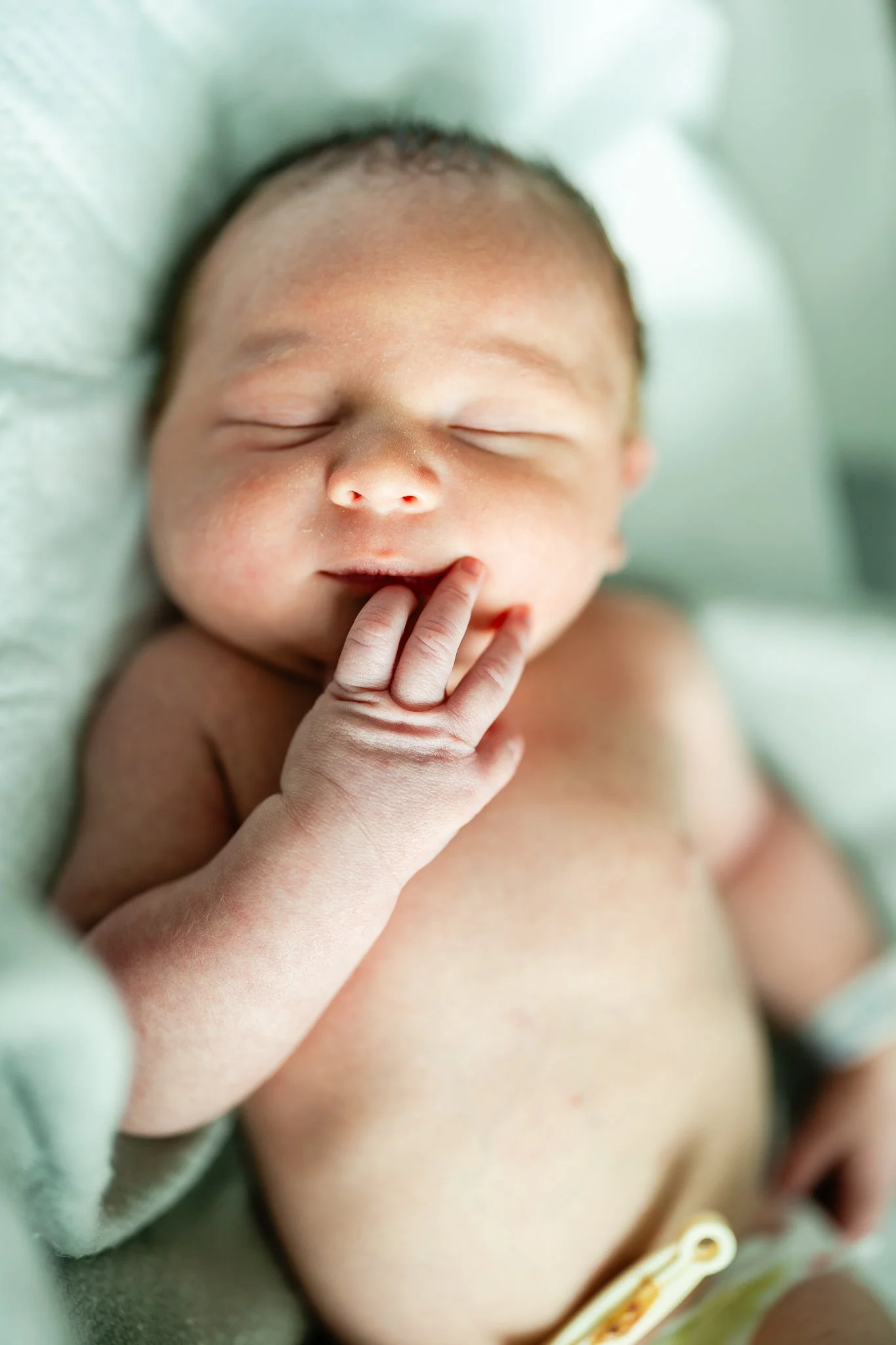 newborn baby boy with hand in his mouth  In memphis hospital after birth 