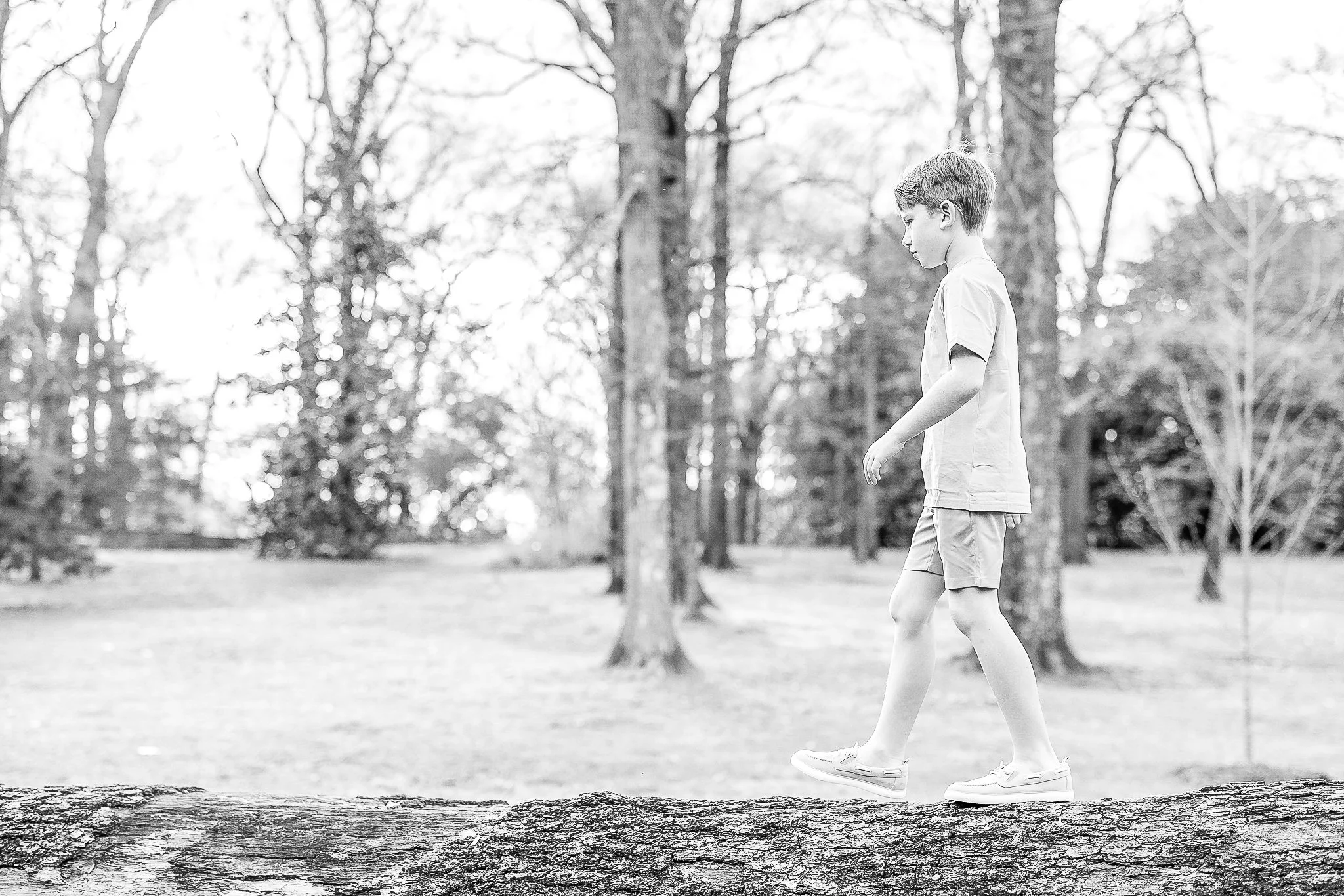 Young boy walking on a fallen tree in a park