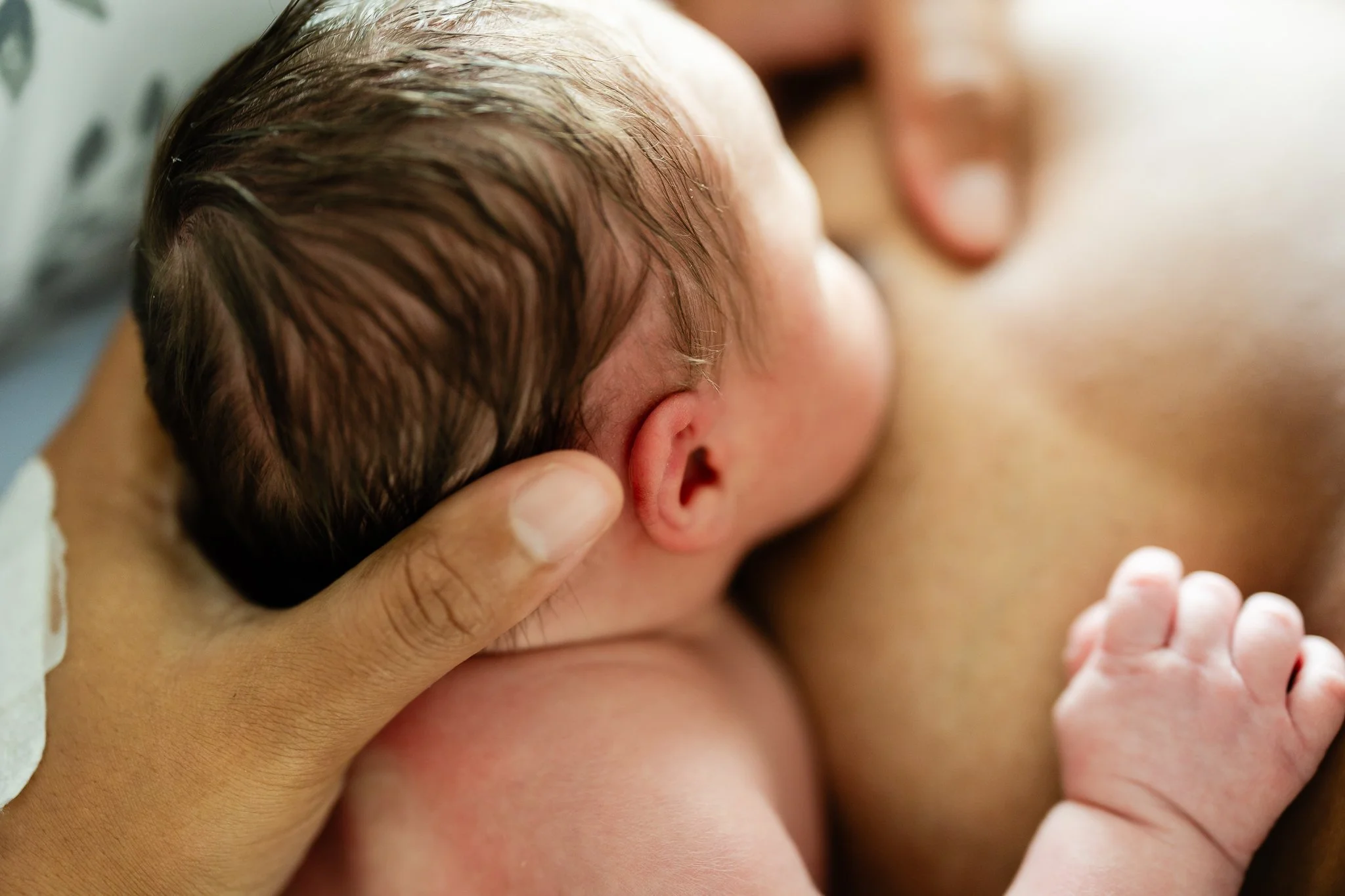 a newborn baby boy nursing for the first time in memphis tn hospital after rbirth 