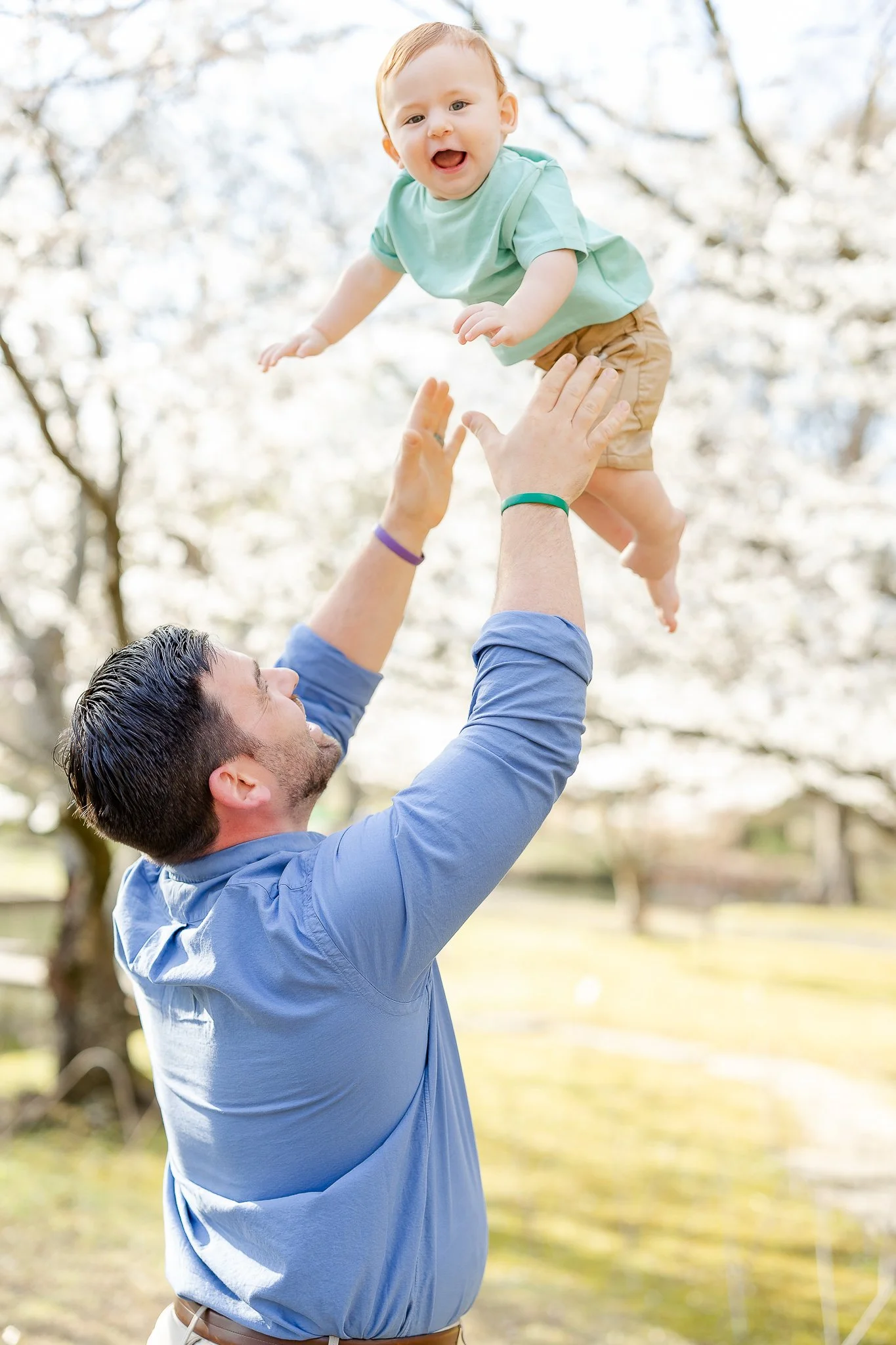 Man in blue shirt tossing a smiling baby in the air in a park with blossoming trees.