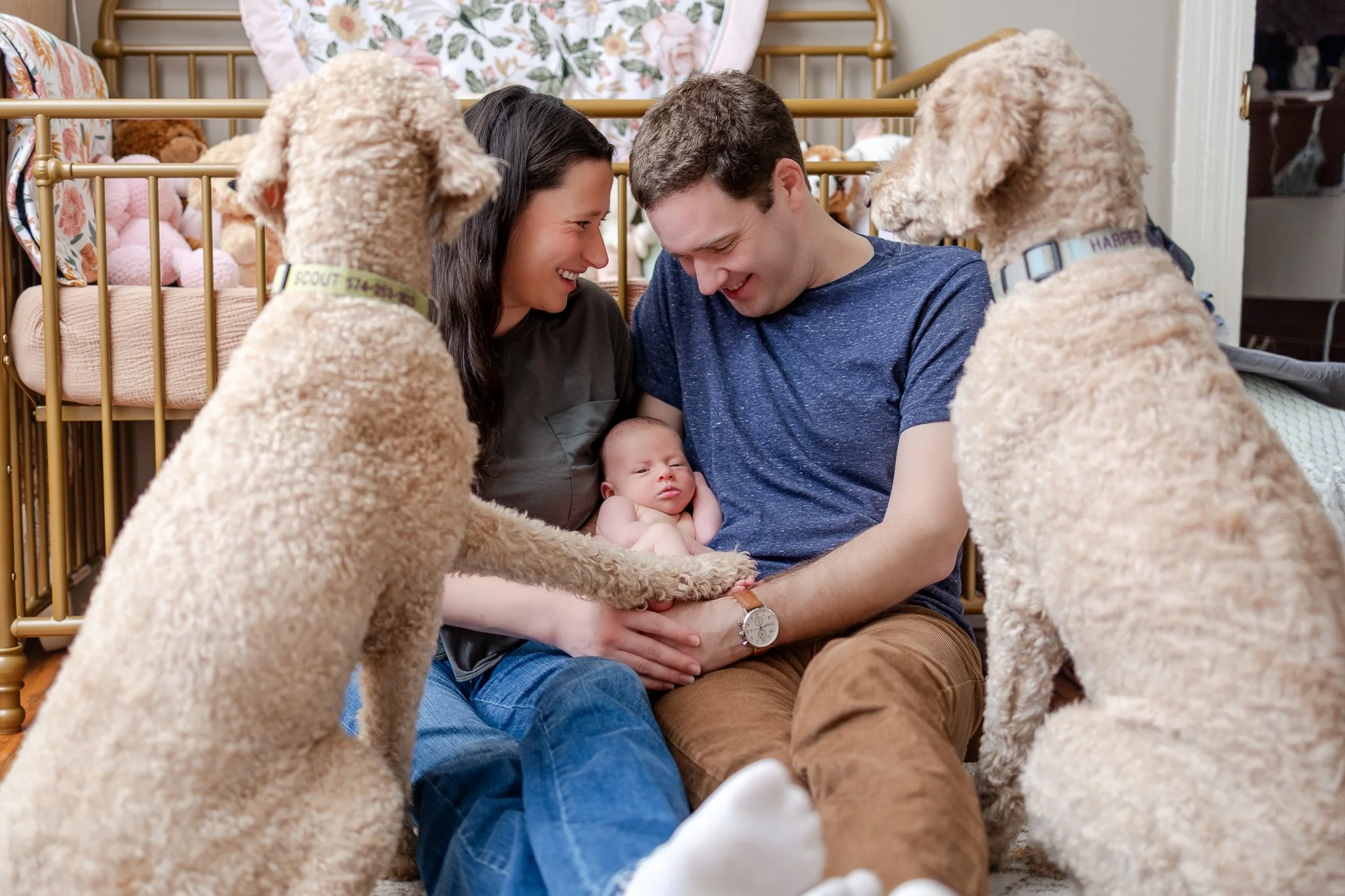 A couple sitting on the floor with a baby in the father's lap, surrounded by two large dogs. A crib and stuffed toys in the background.