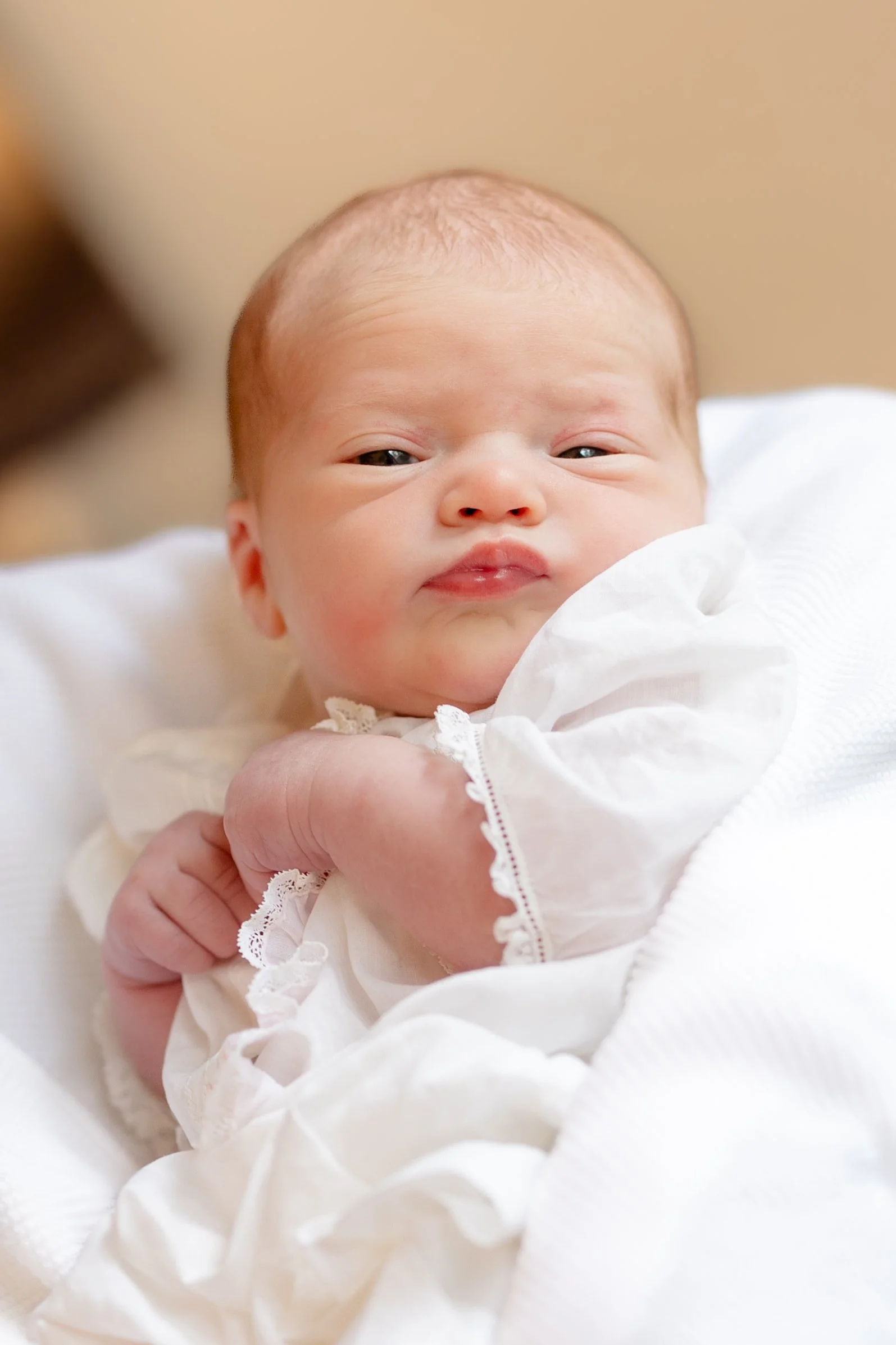 Caitlin Ross is a photographer in MEMPHIS Tennessee specializing in newborn and family photography. Caitlin Ross photography also offers Heirloom black and white portraits and fine art school photography