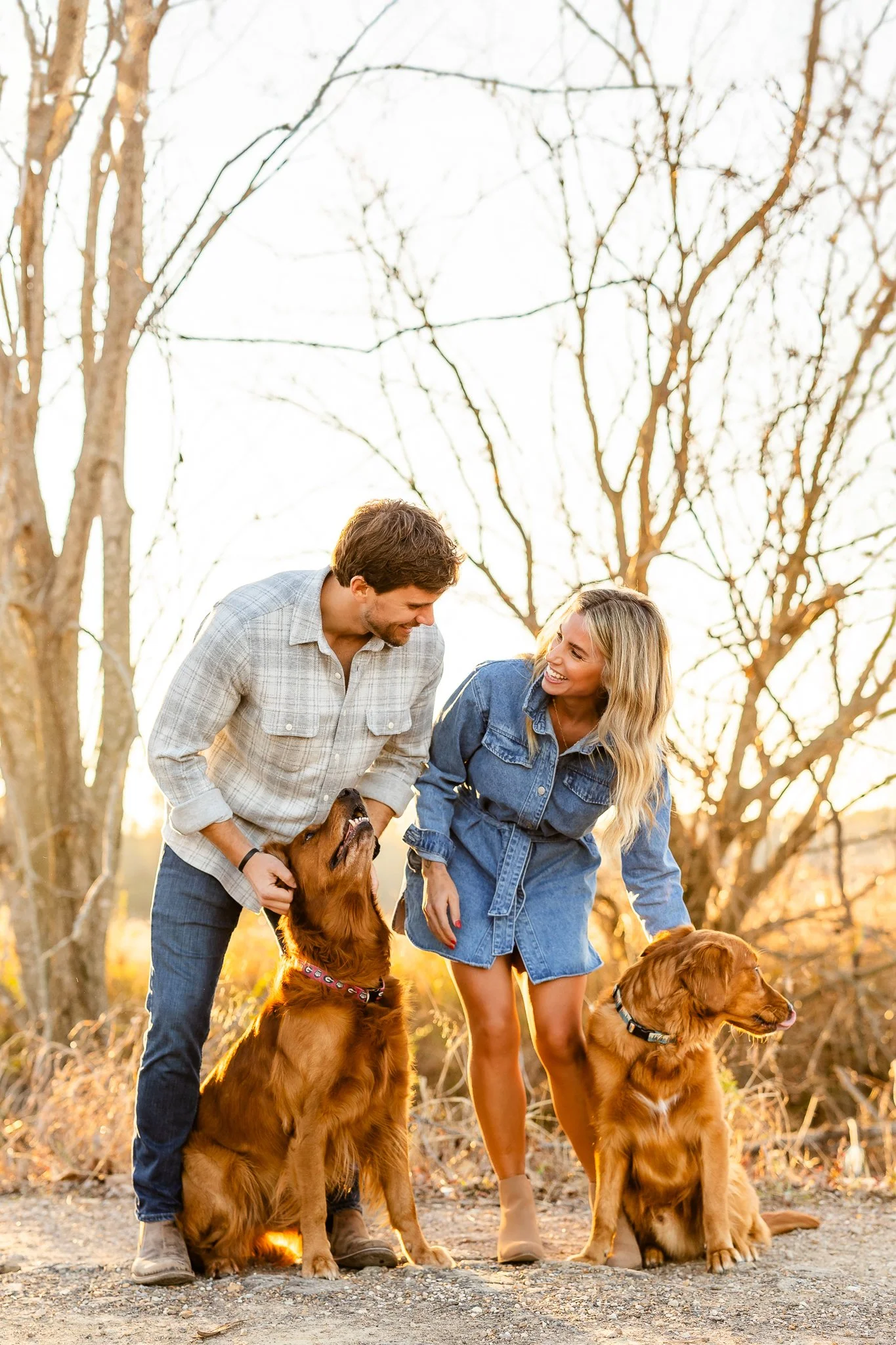 A couple outdoors with two golden retrievers, surrounded by trees and warm sunlight.