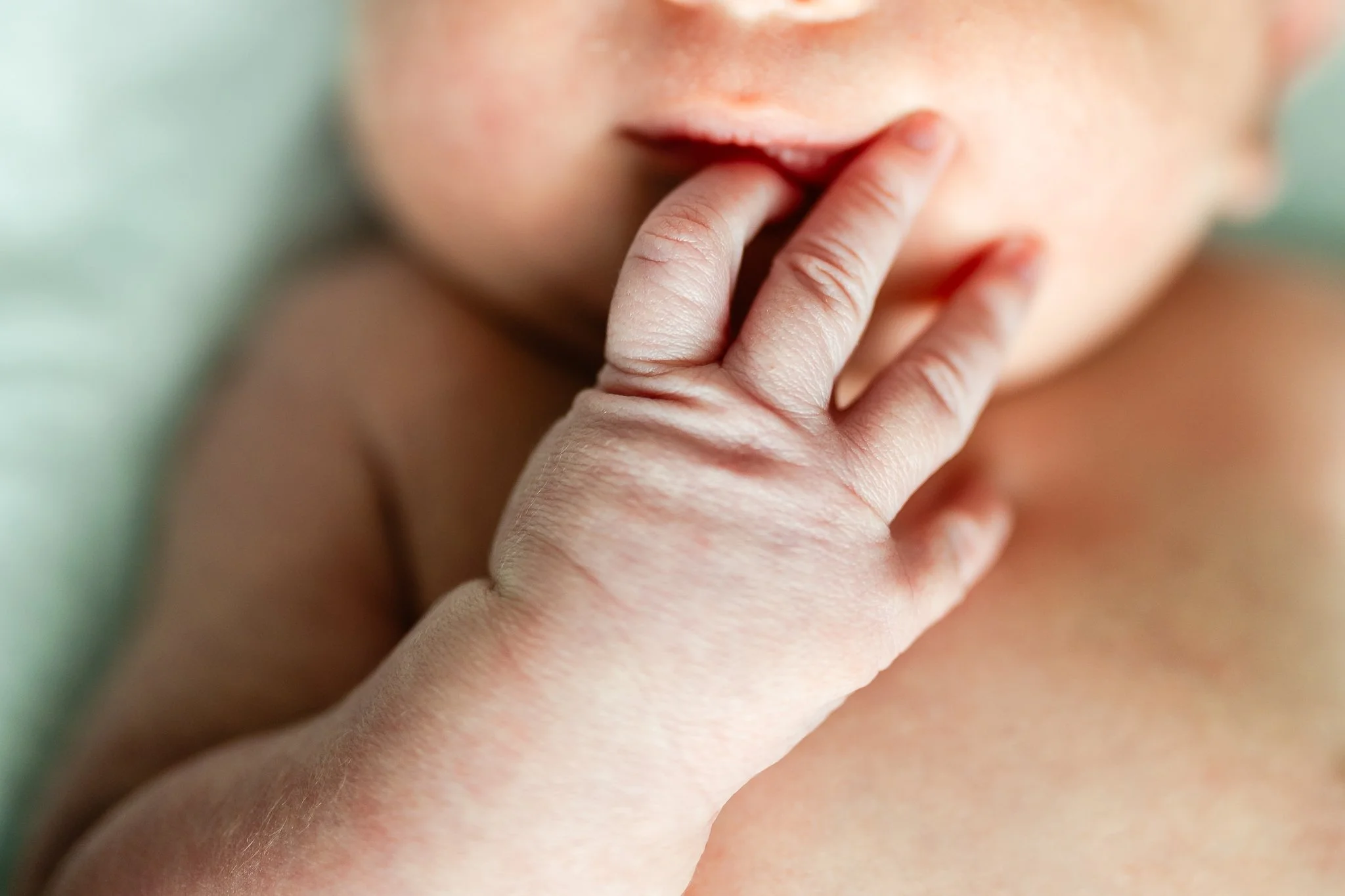 newborn baby hand 