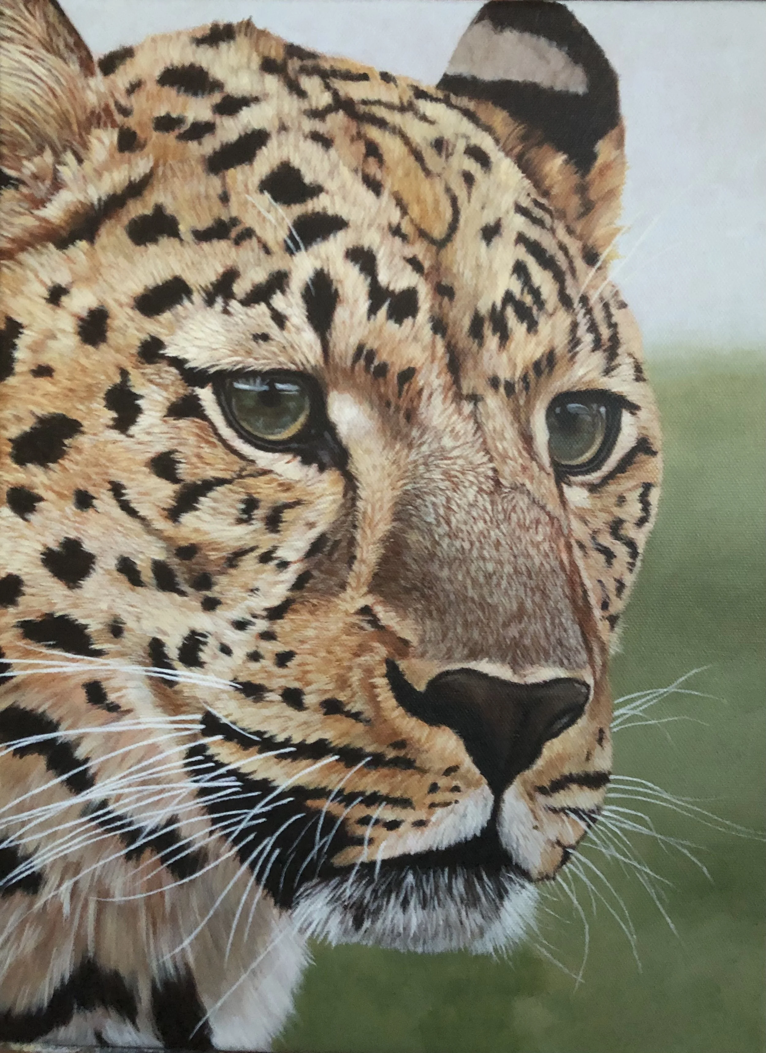 IMG_2427 - Lynn W.jpeg