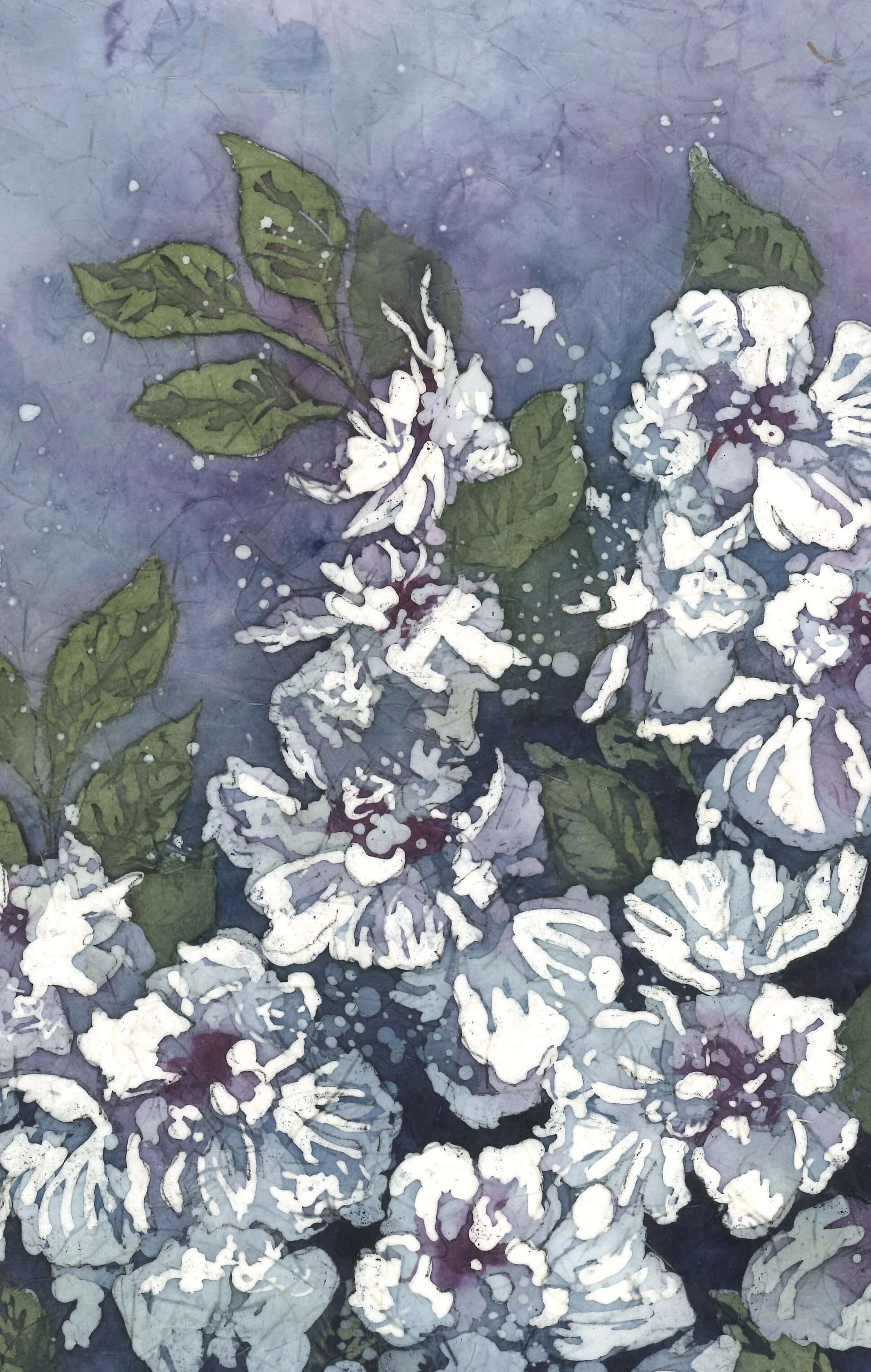 IMG_7684 - Debra Botman.jpeg