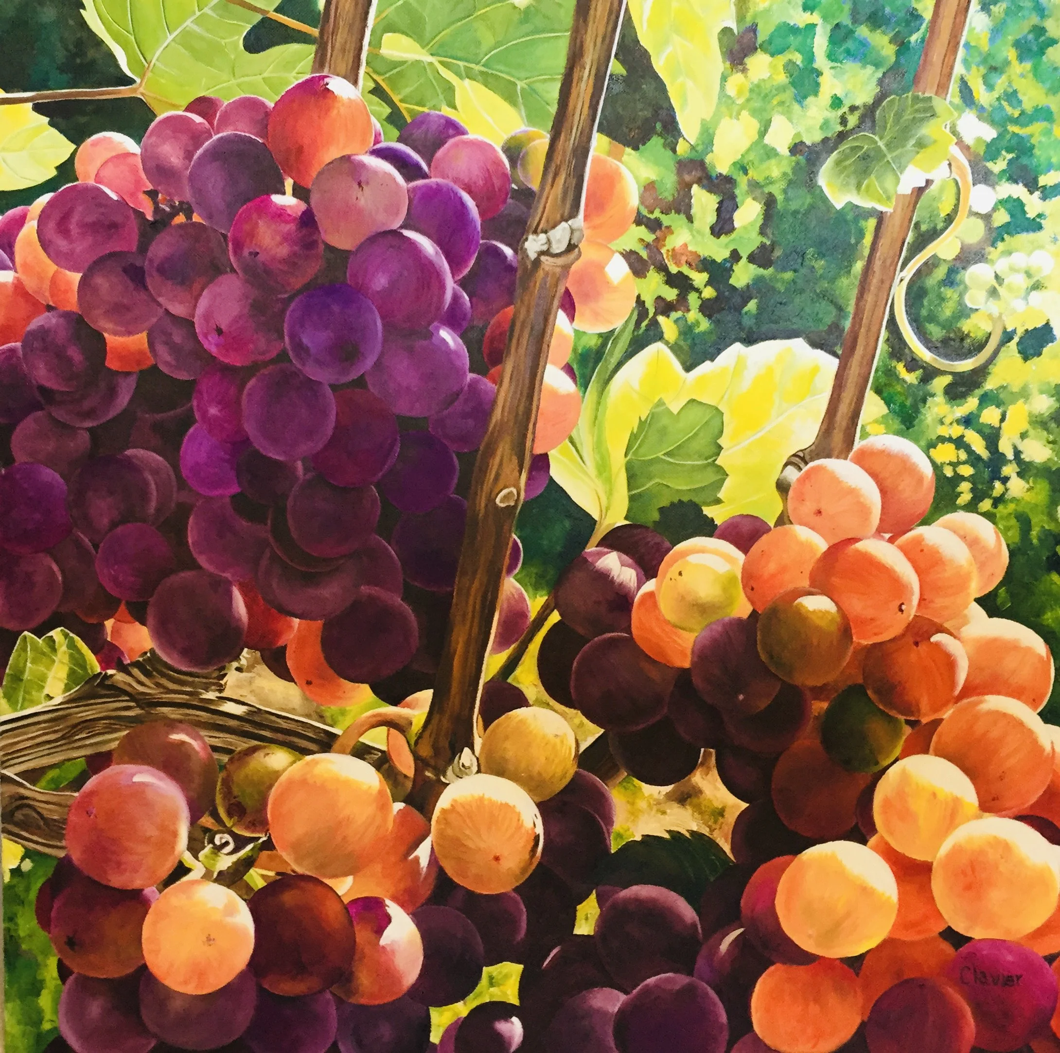 G Red Grapes - Ron Clavier.jpeg
