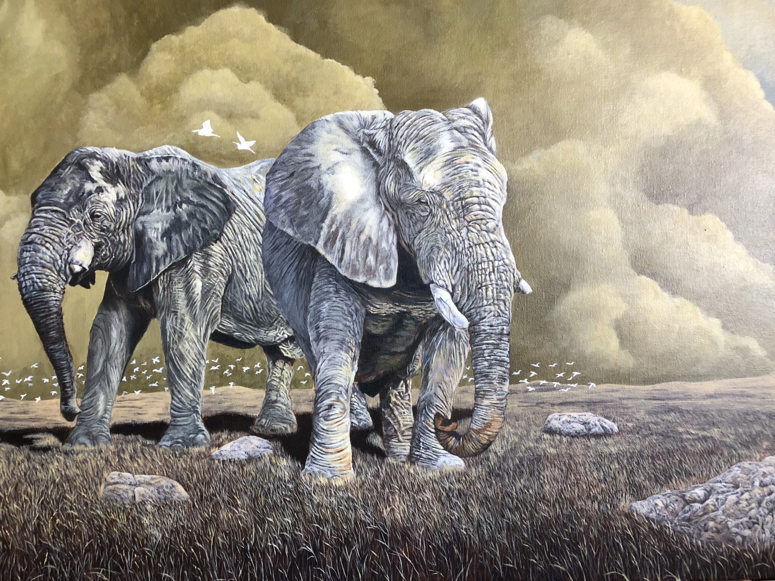 IMG_0345 - Lynn W.jpeg