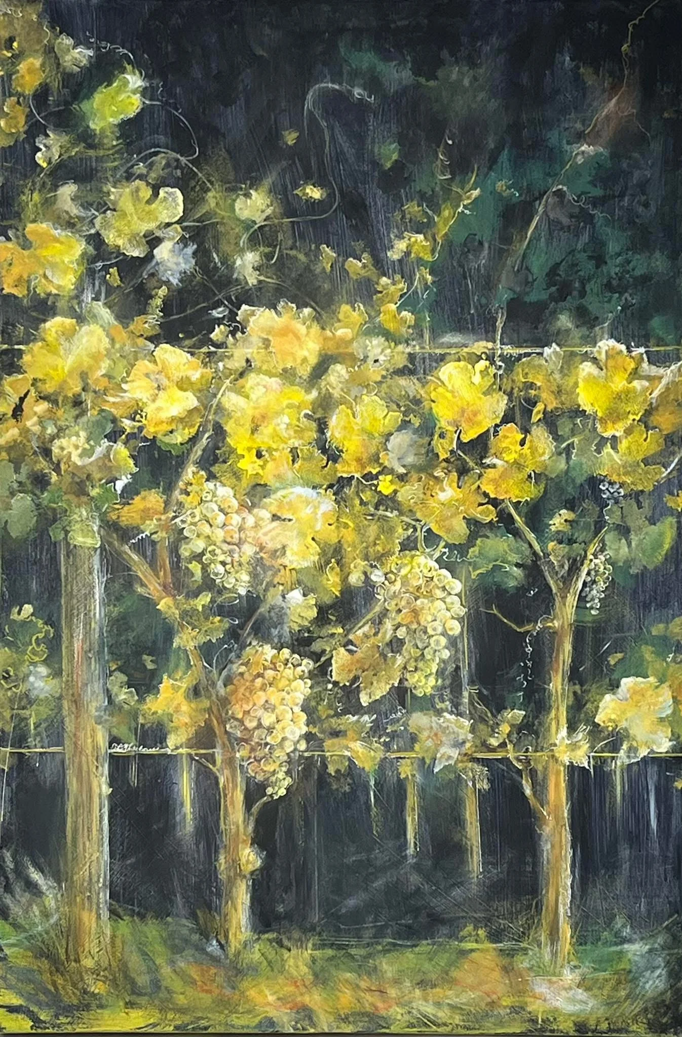 IMG_1997 - Deborah Whitehouse.jpeg