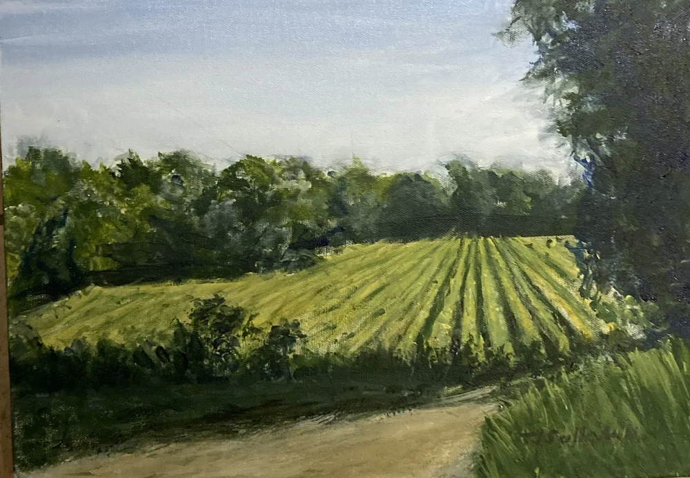 Tim Sullivan — NOTL Studio Tour