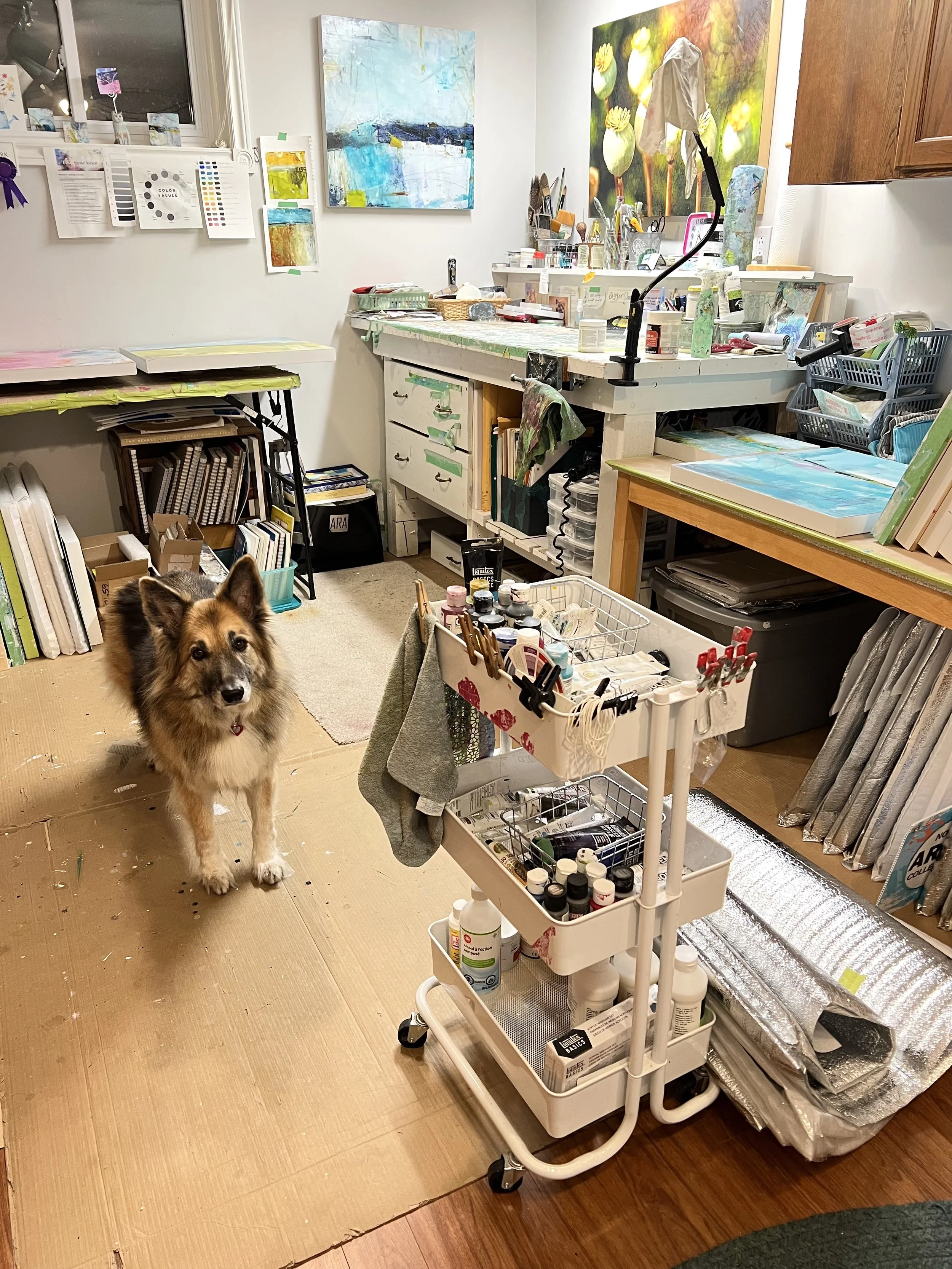 IMG_6240 - Julie Clark.jpeg