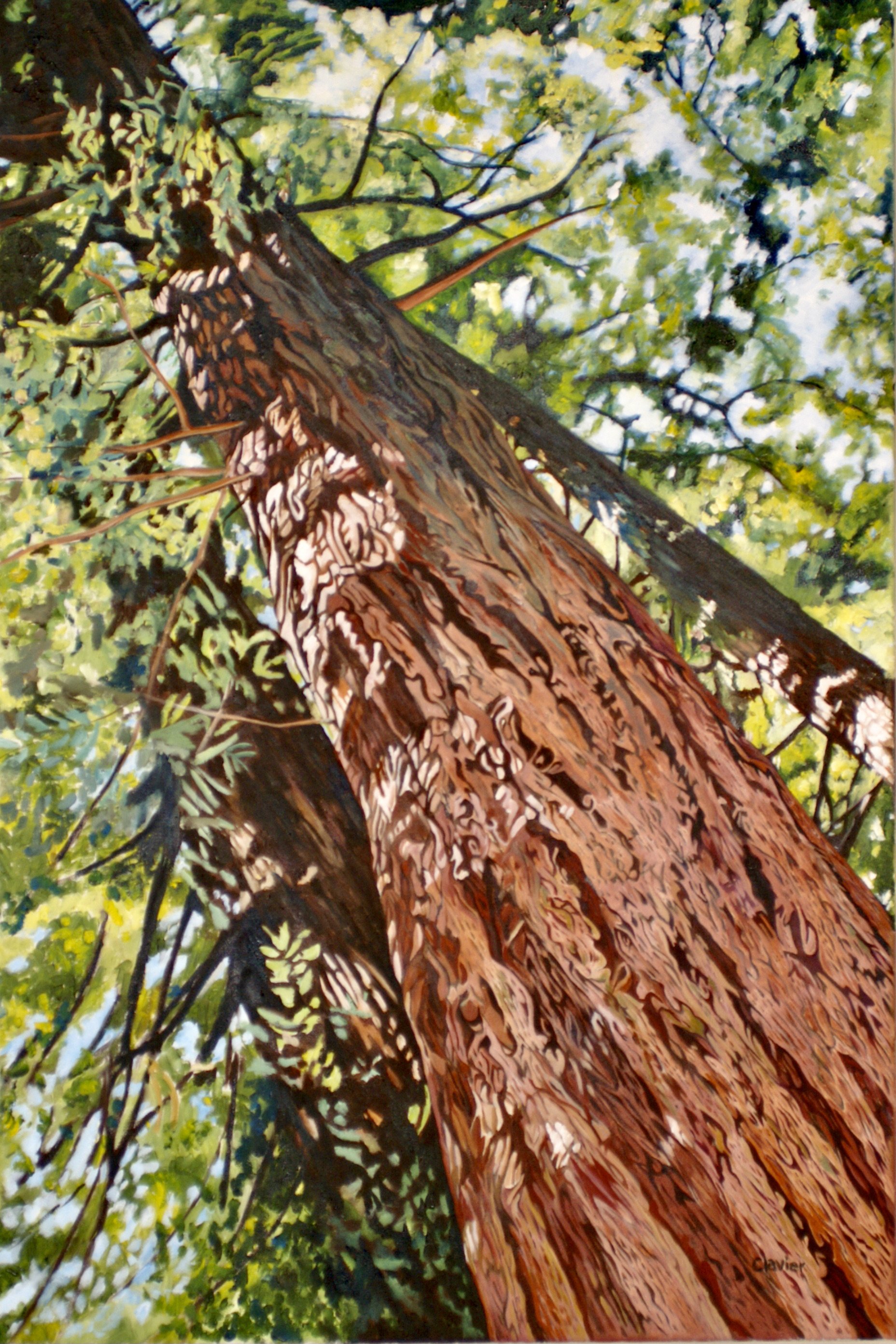 HD Awe And Humility And Joy 2 - Ron Clavier.JPG