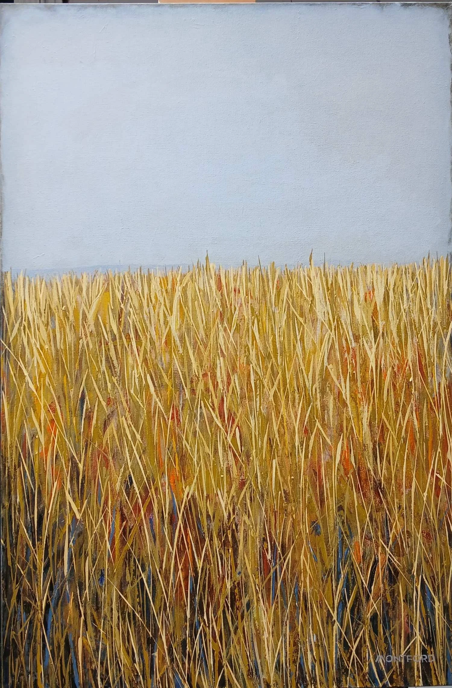 Bulls Point Trail  - Dennis Montford.jpg